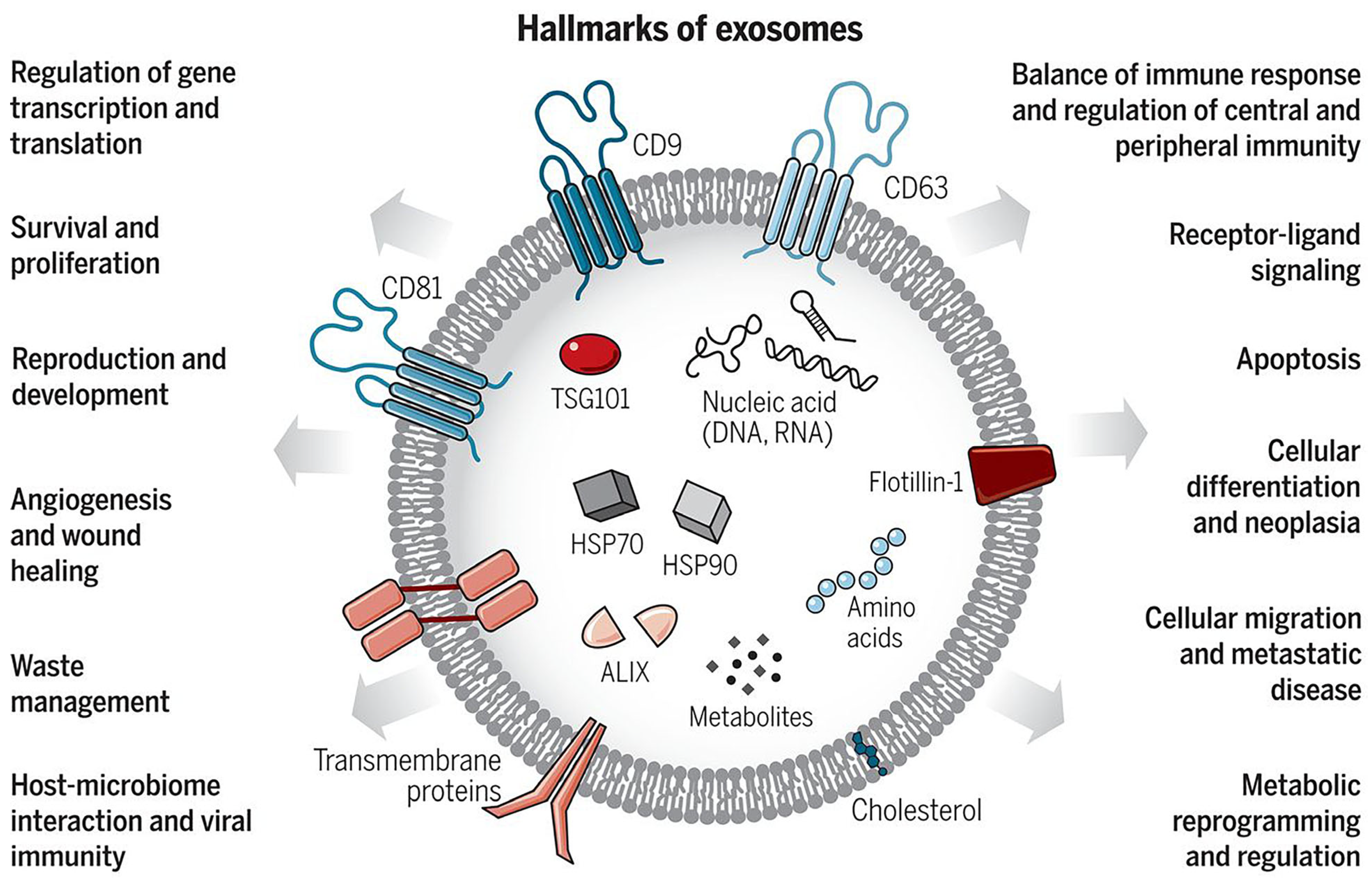 Pharmaceutics 17 00257 g002