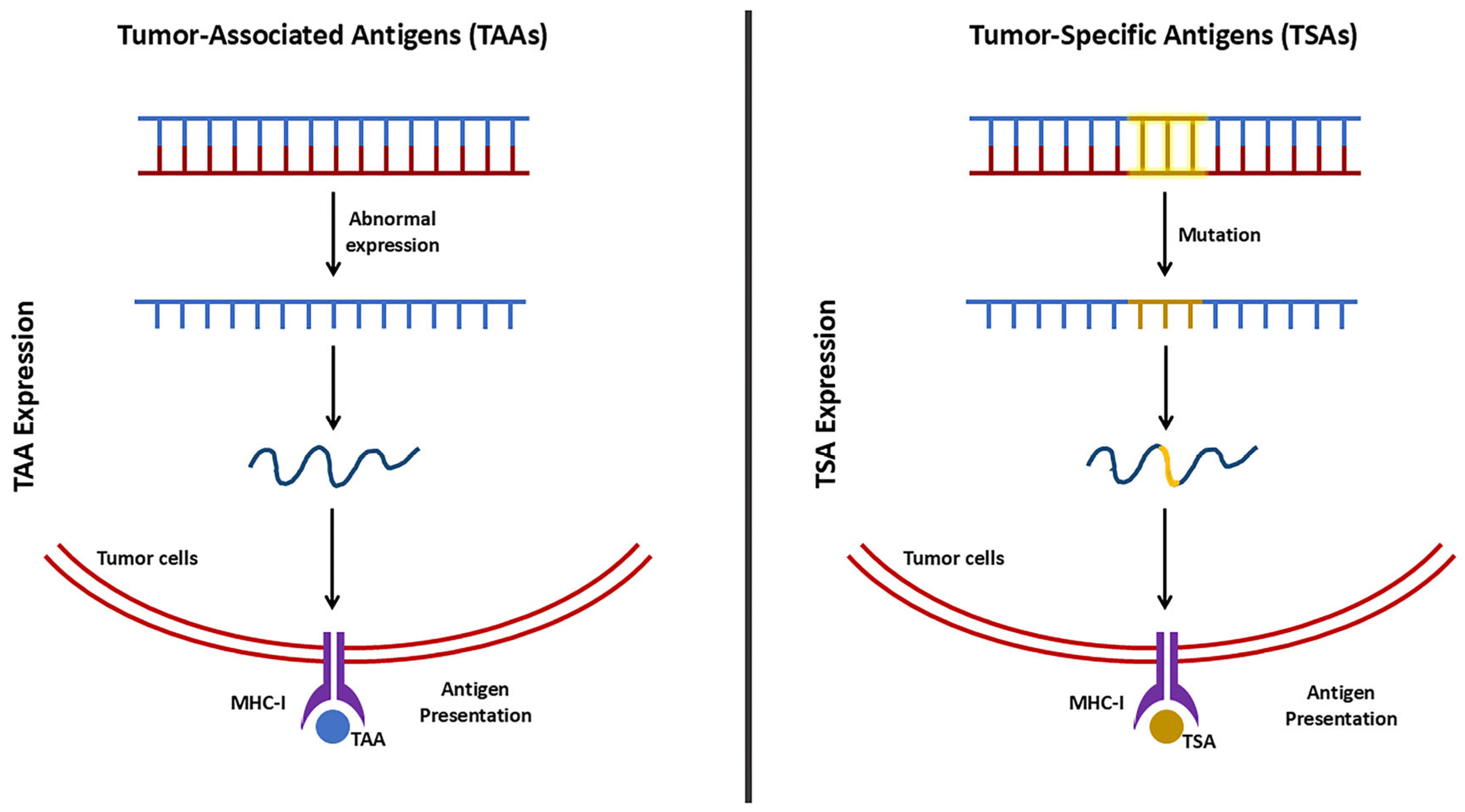 Pharmaceutics 17 00257 g003