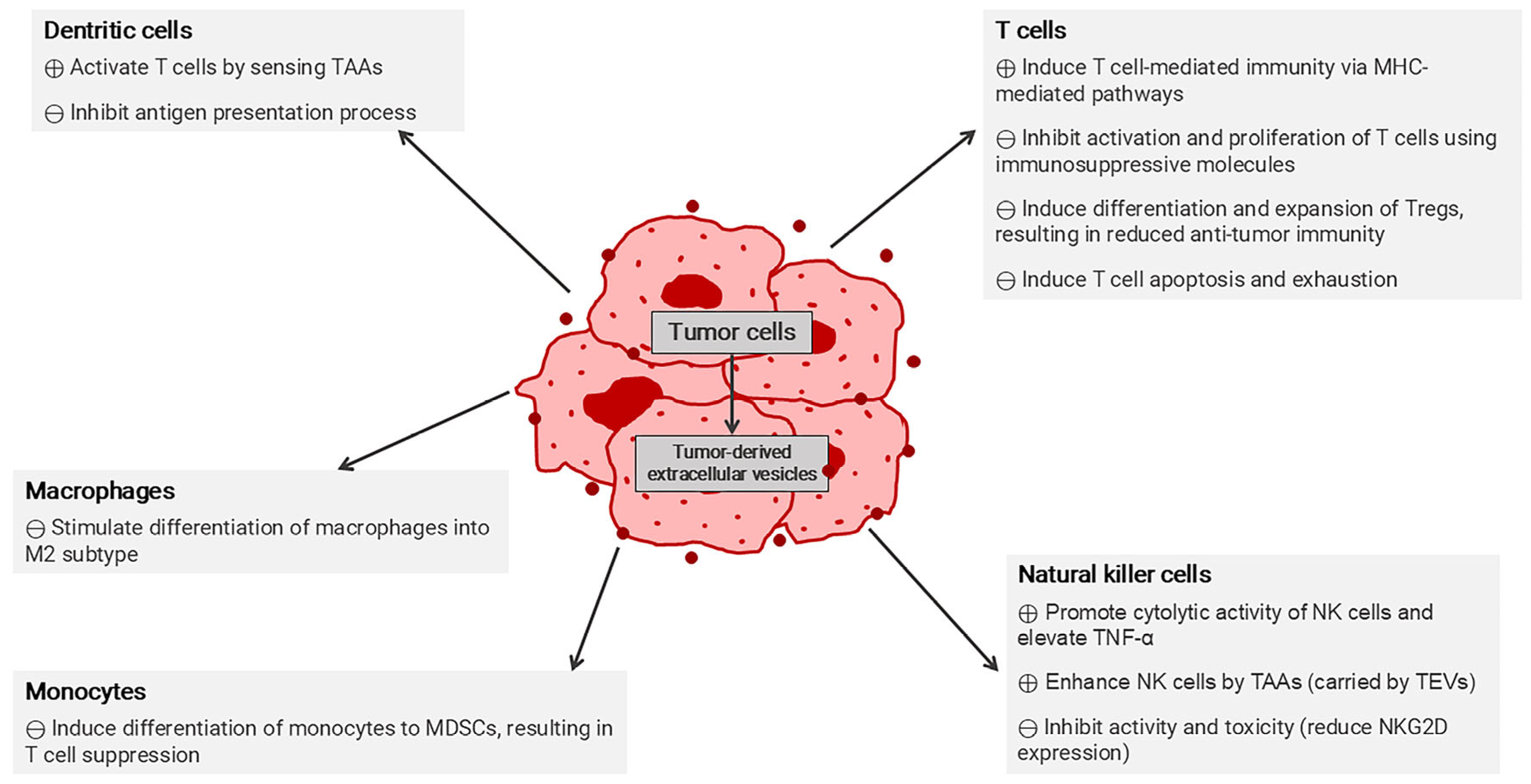 Pharmaceutics 17 00257 g004