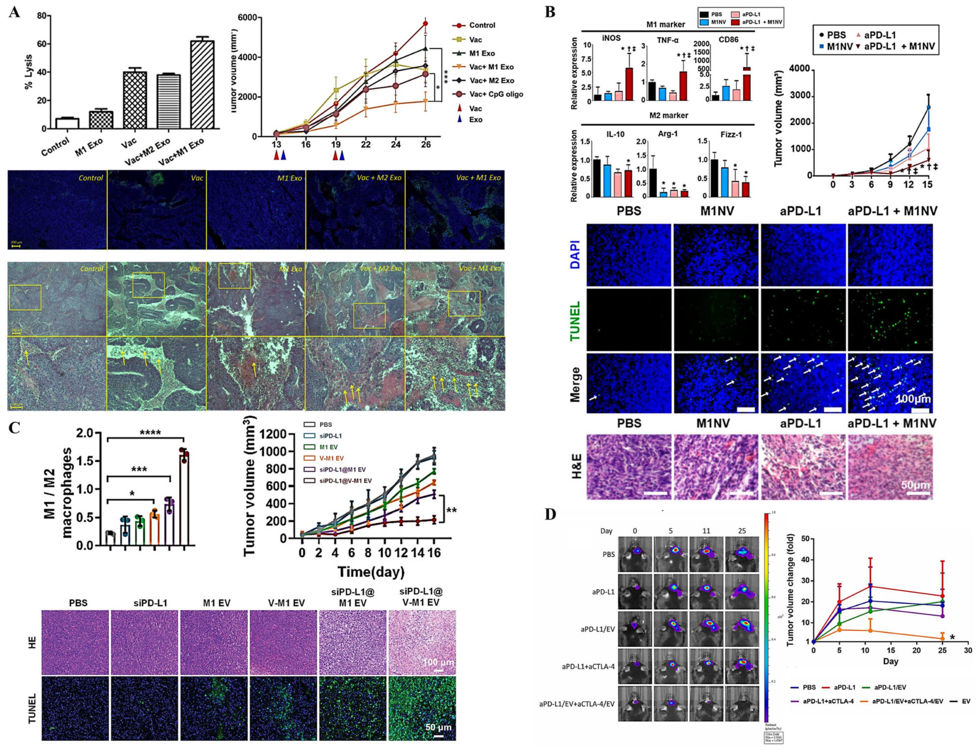 Pharmaceutics 17 00257 g005