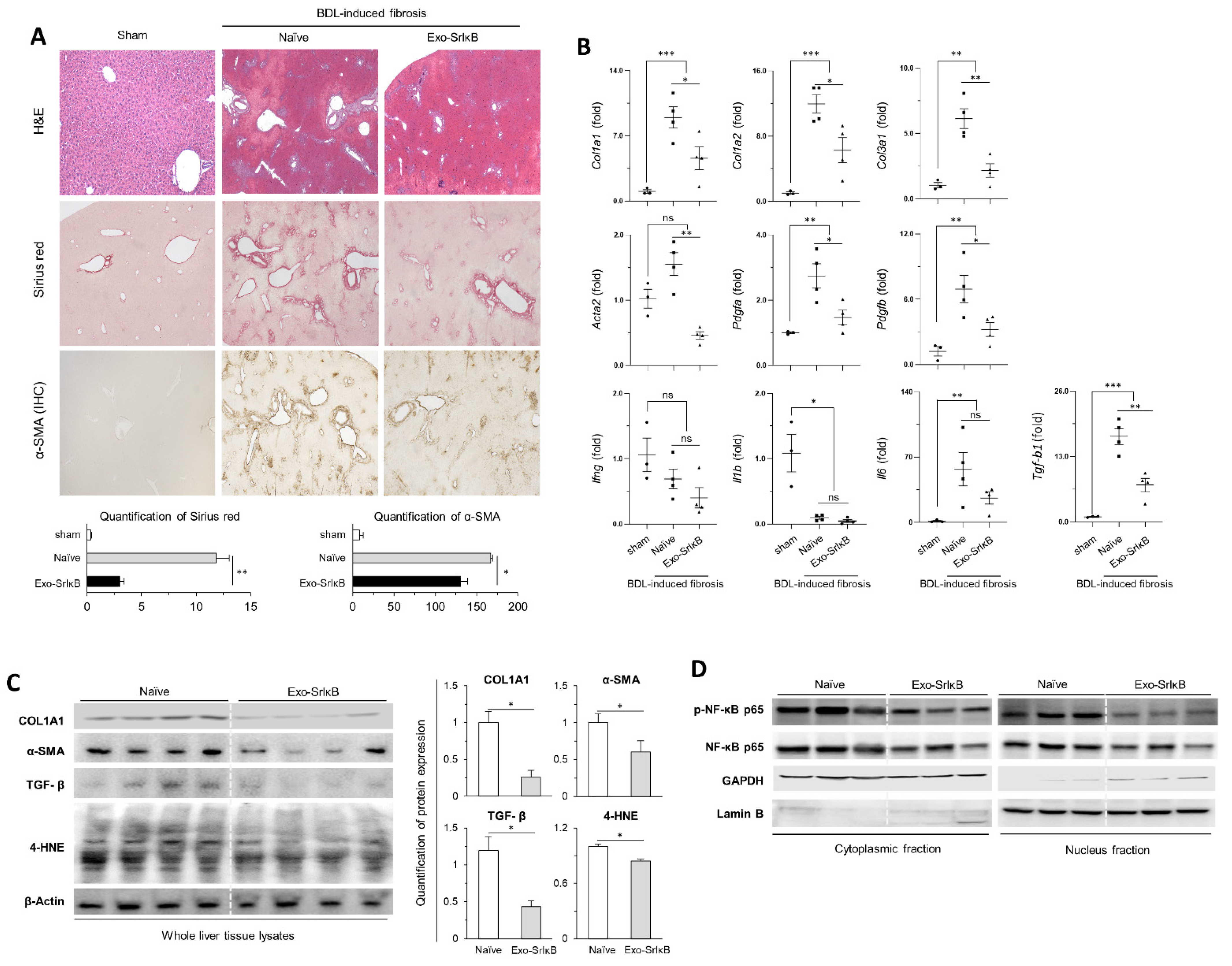 Pharmaceutics 17 00264 g002