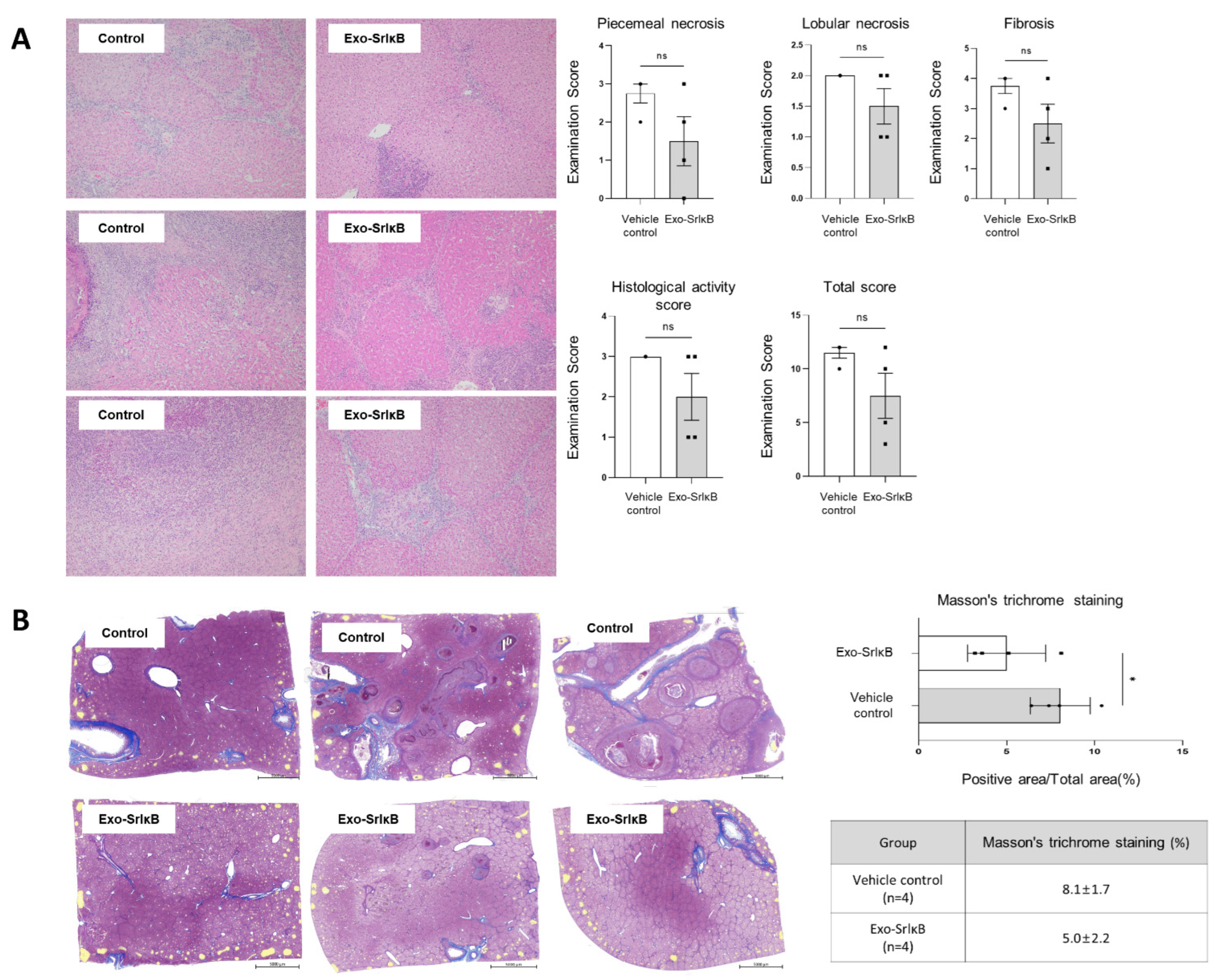 Pharmaceutics 17 00264 g004