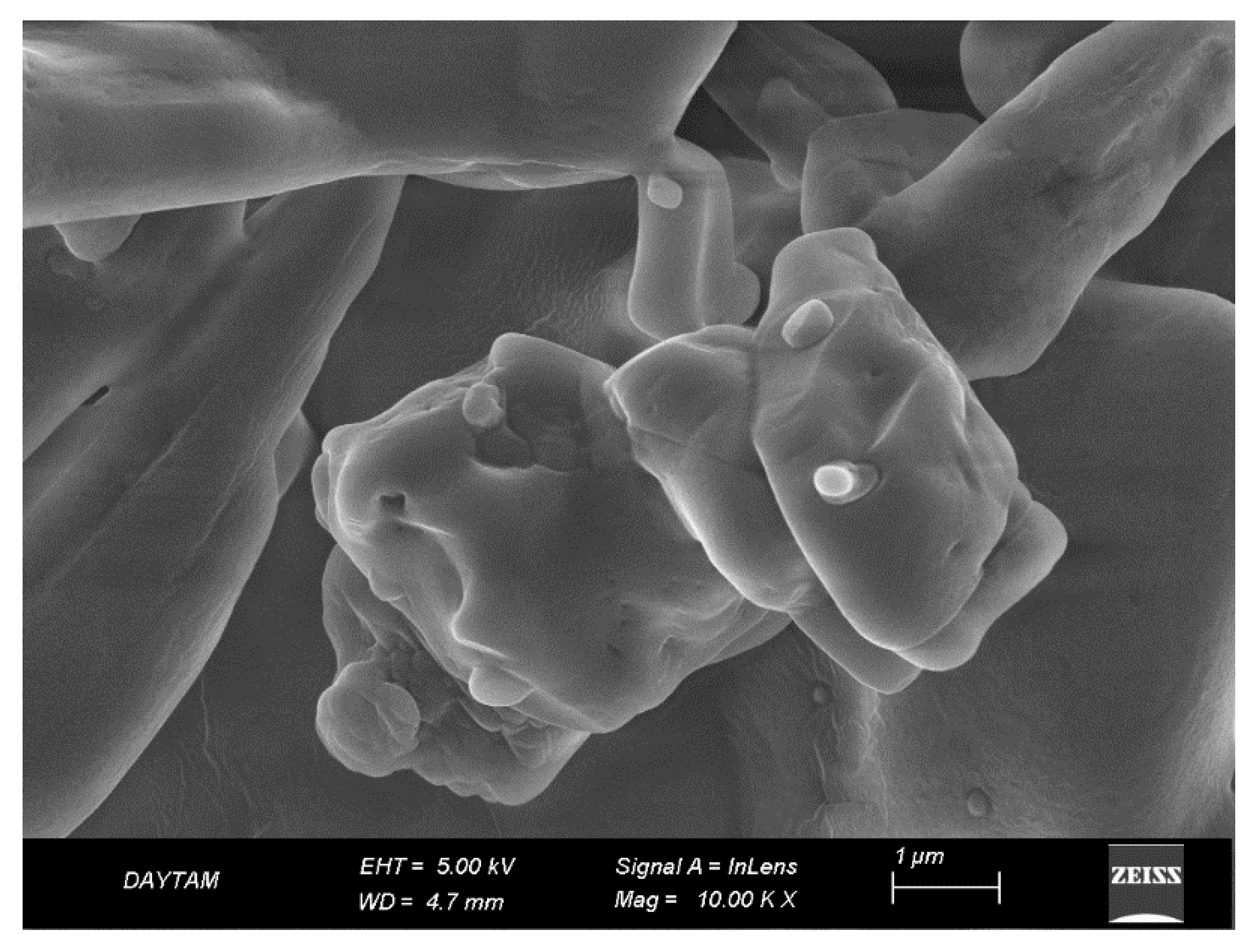 Pharmaceutics 17 00267 g005