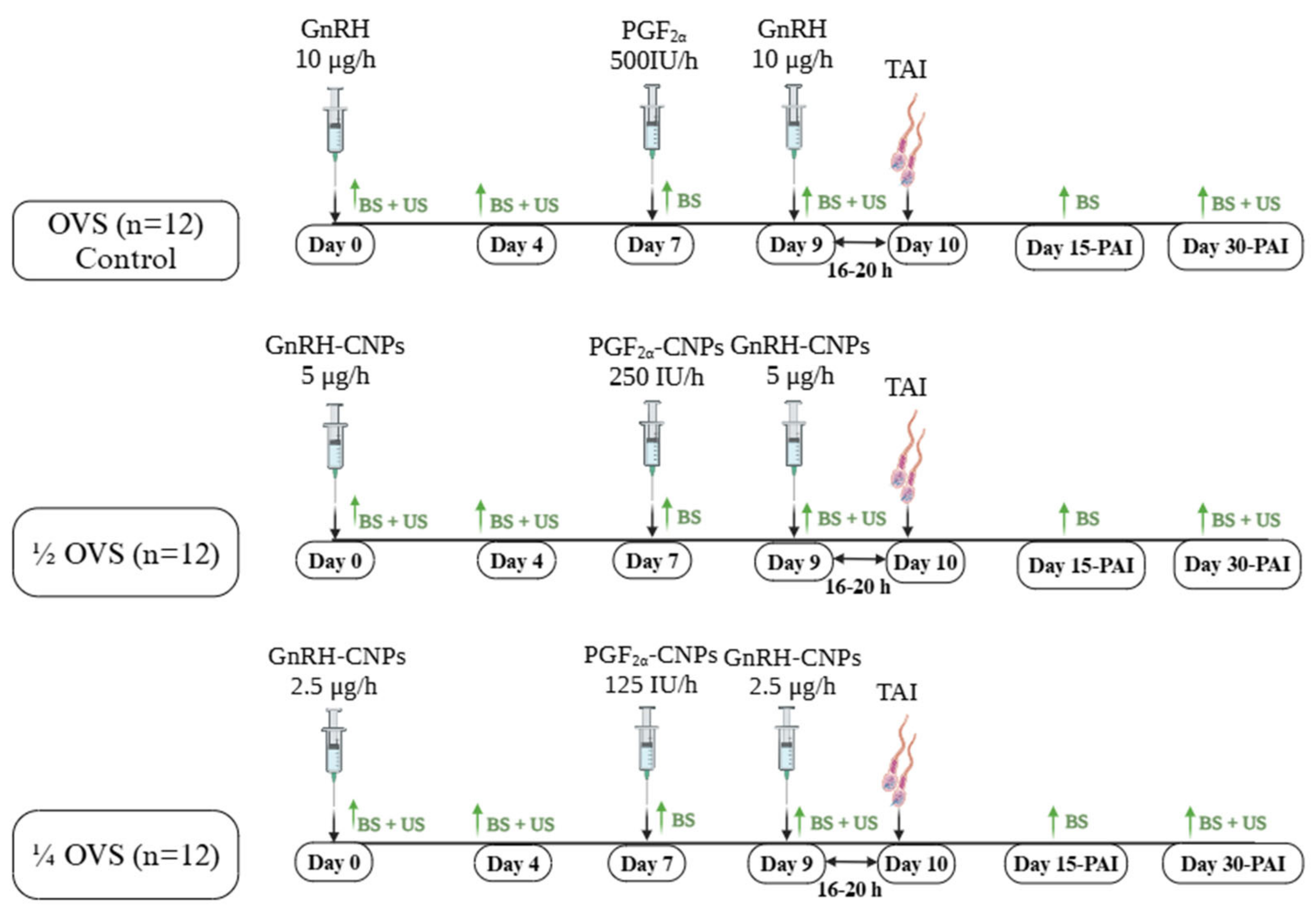 Pharmaceutics 17 00274 g001