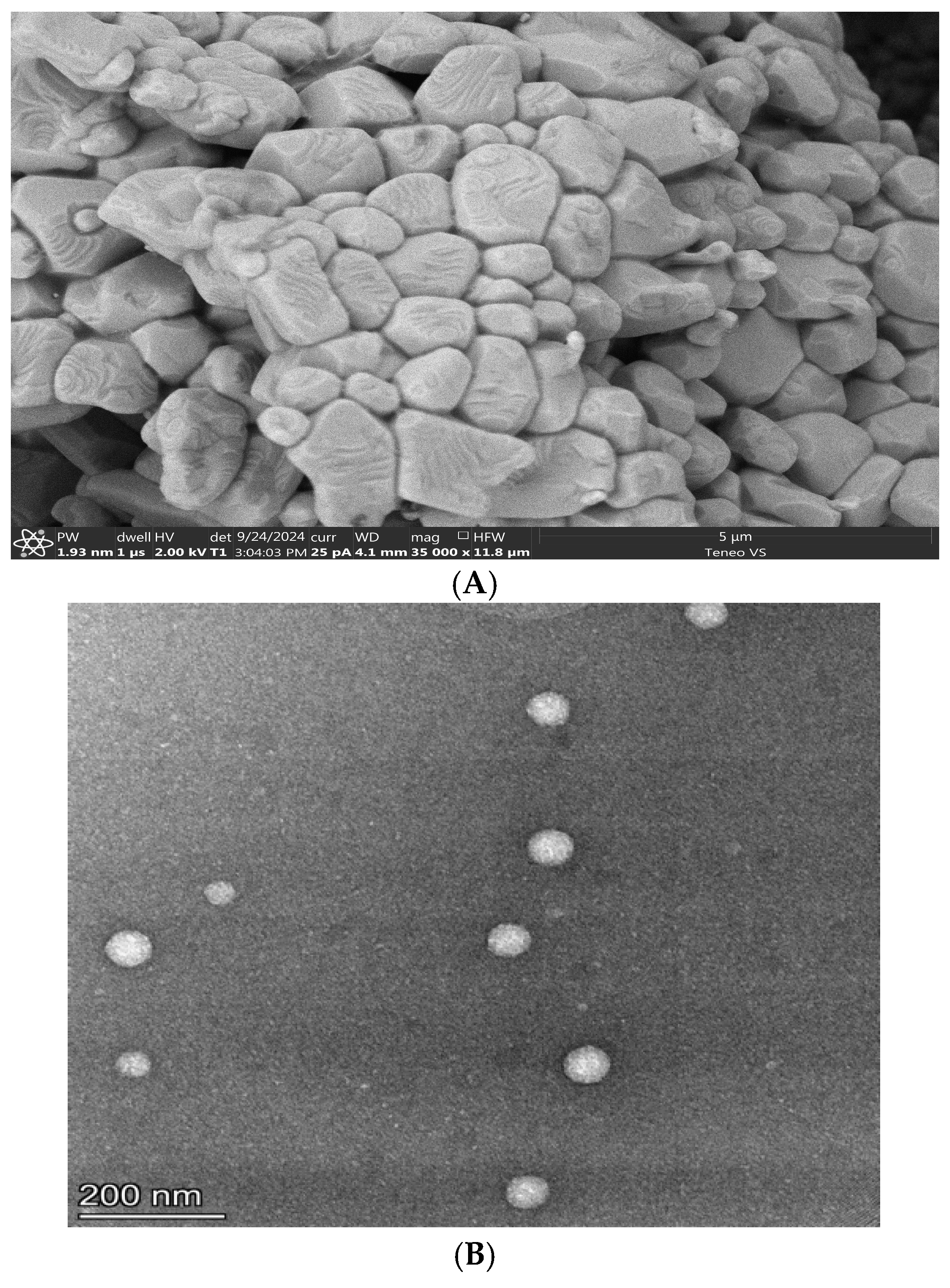 Pharmaceutics 17 00275 g001