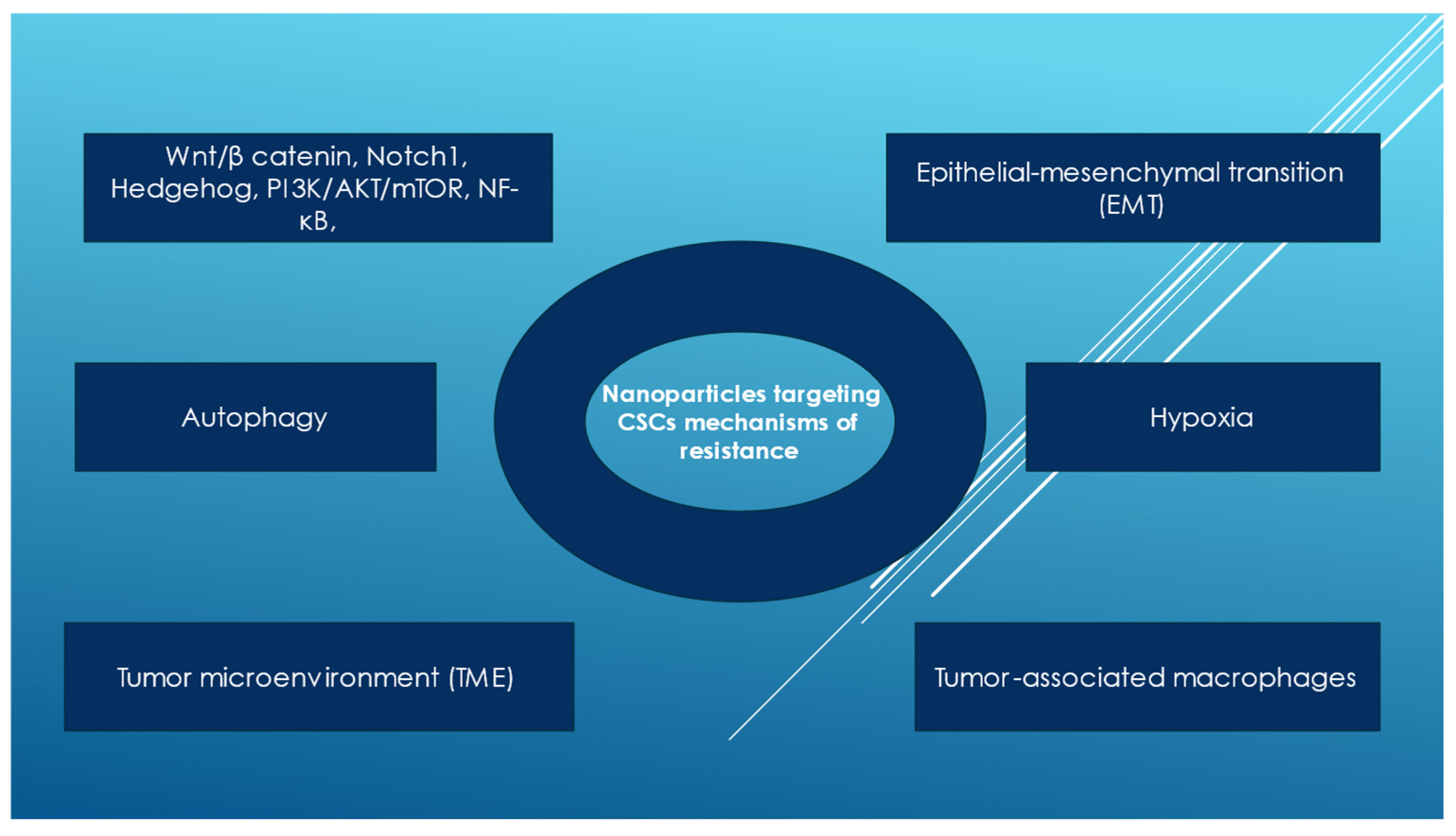 Pharmaceutics 17 00277 g002
