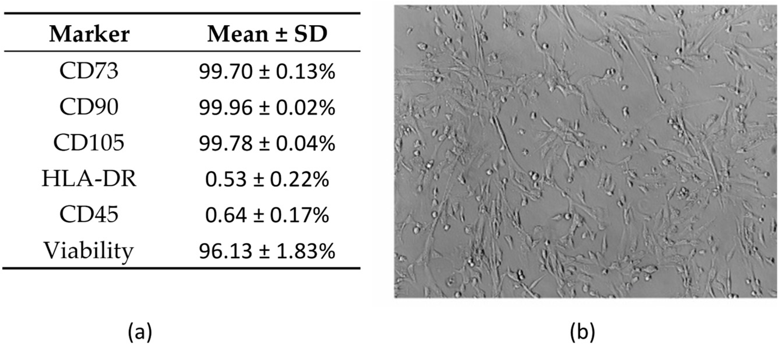 Pharmaceutics 17 00278 g001
