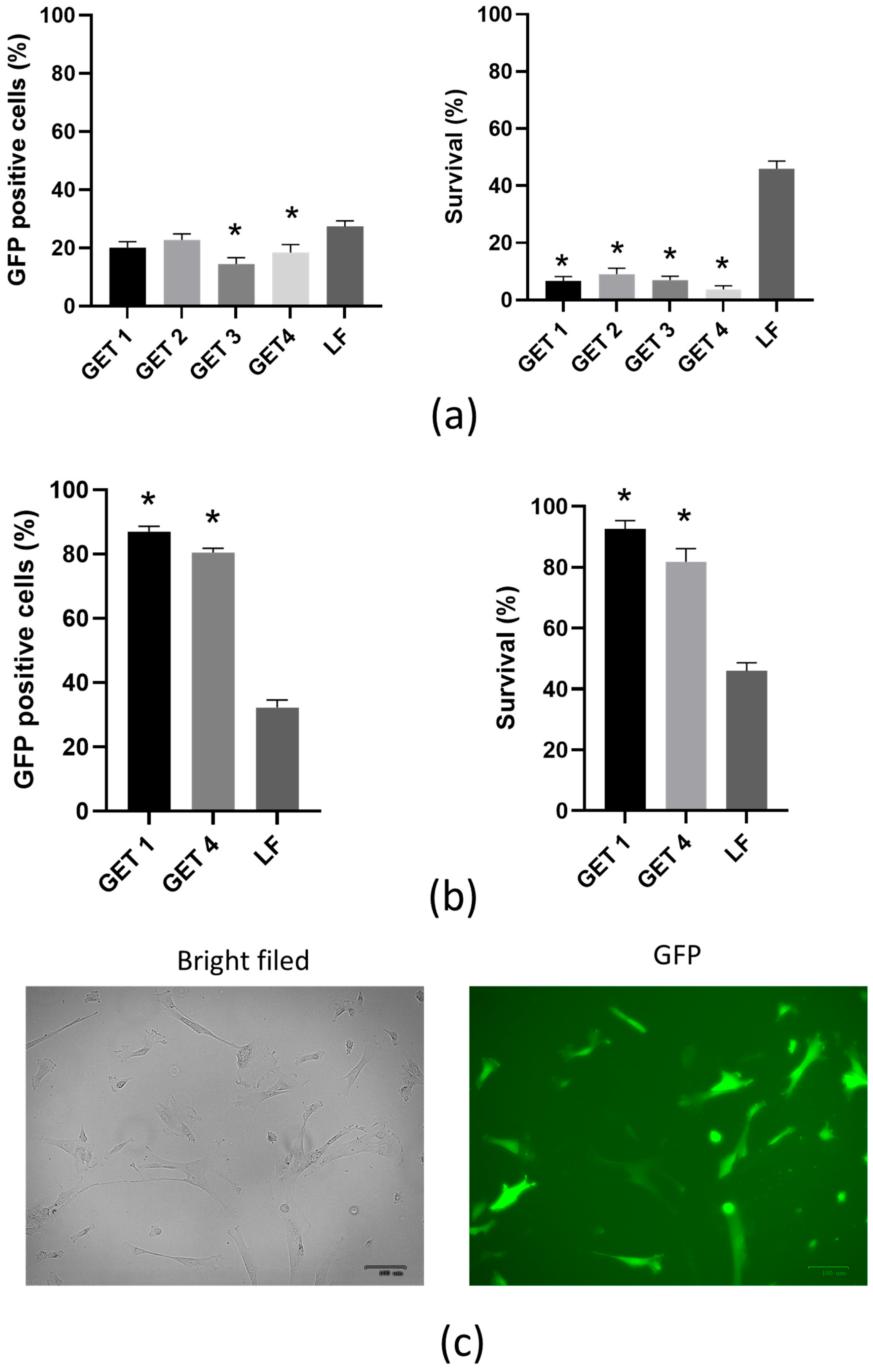 Pharmaceutics 17 00278 g002