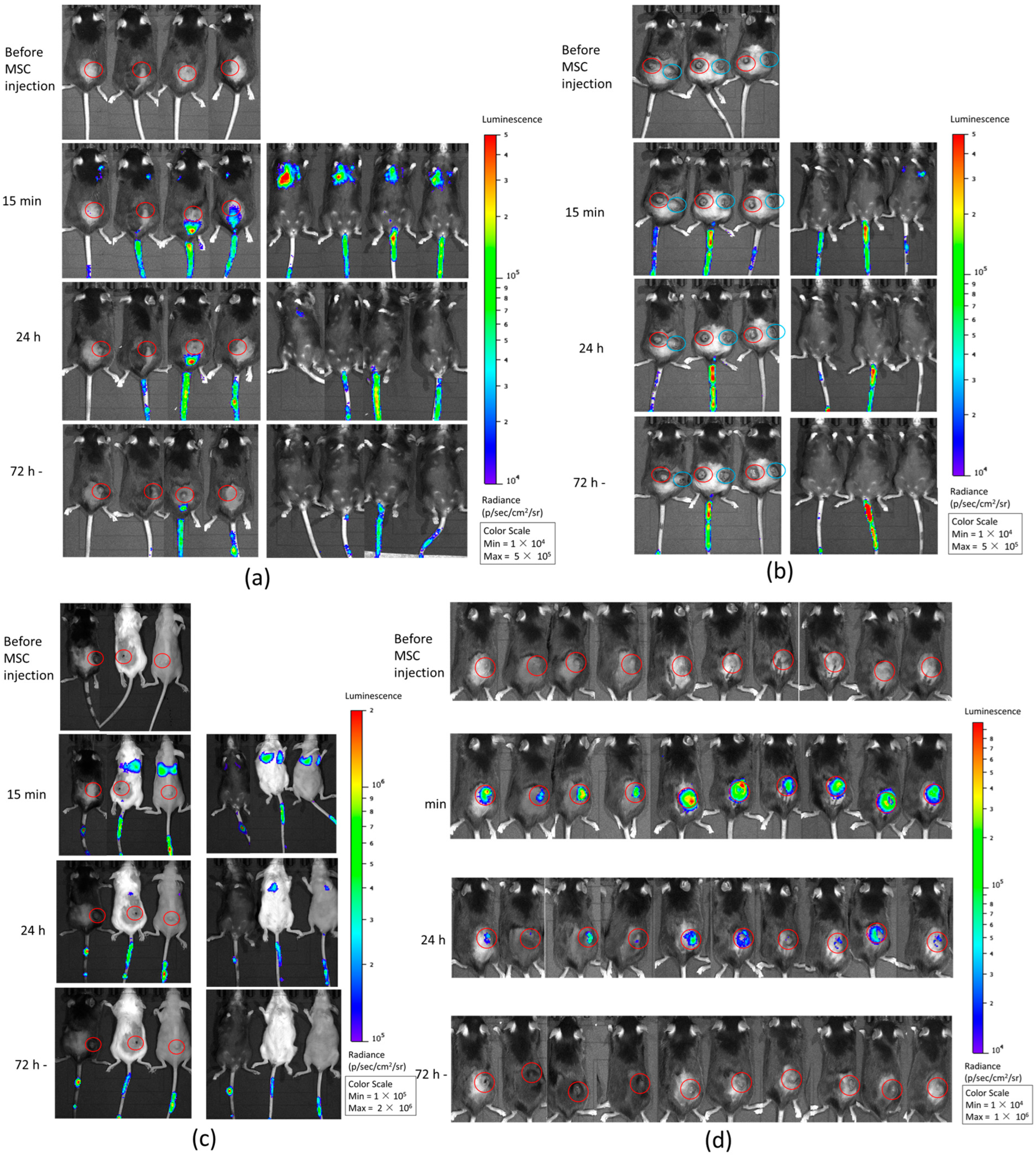 Pharmaceutics 17 00278 g003