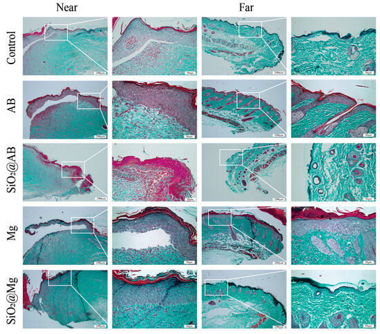 m.g Development of Squaramides as Allosteric Modulators of the