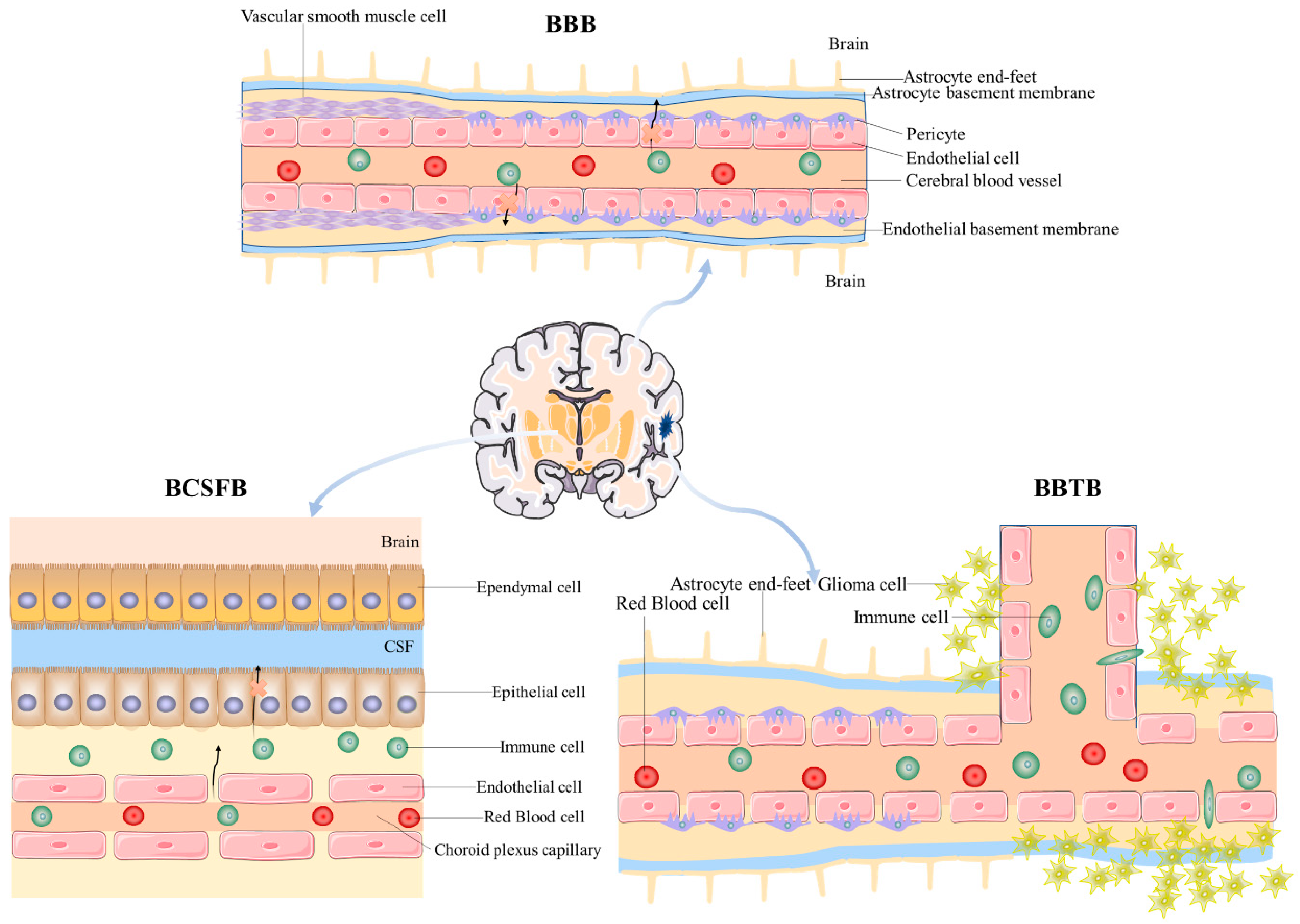 Pharmaceutics 17 00280 g001