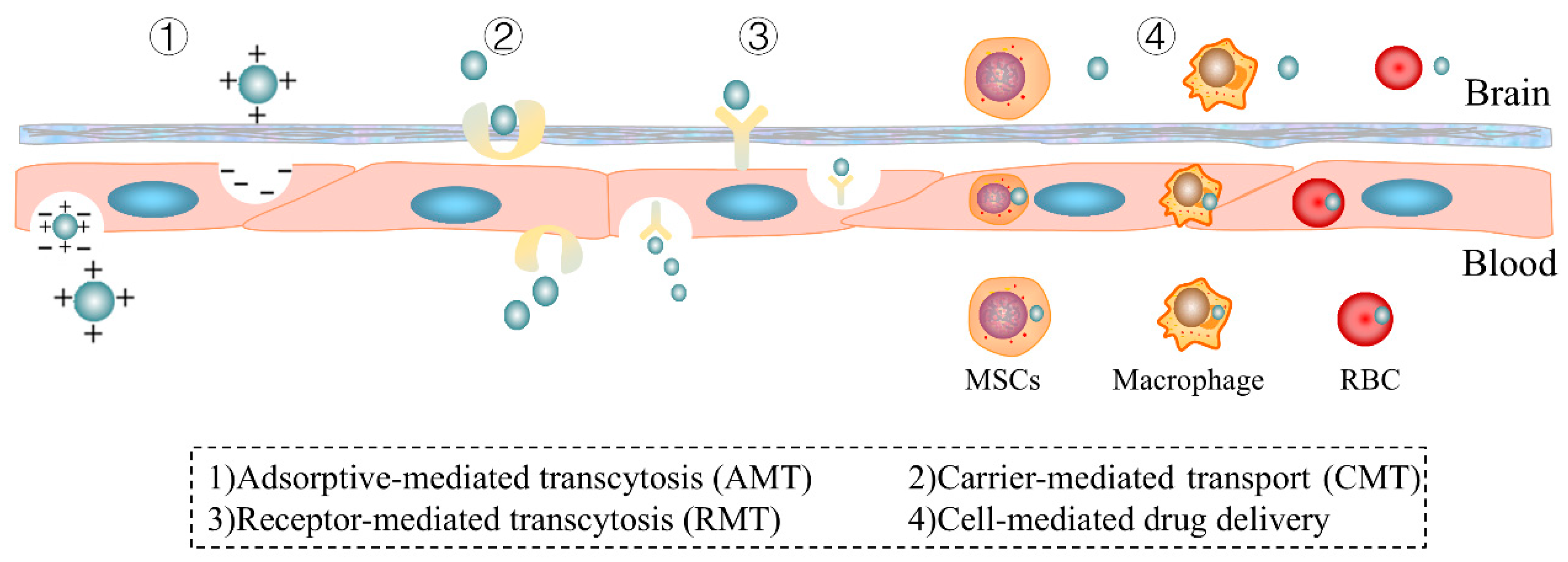 Pharmaceutics 17 00280 g002