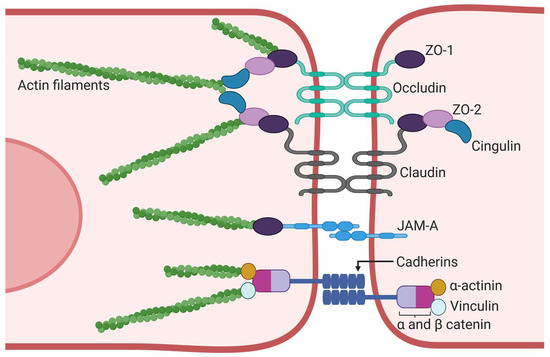 Key Technologies in Developing Chip-Scale Hot Atomic Devices