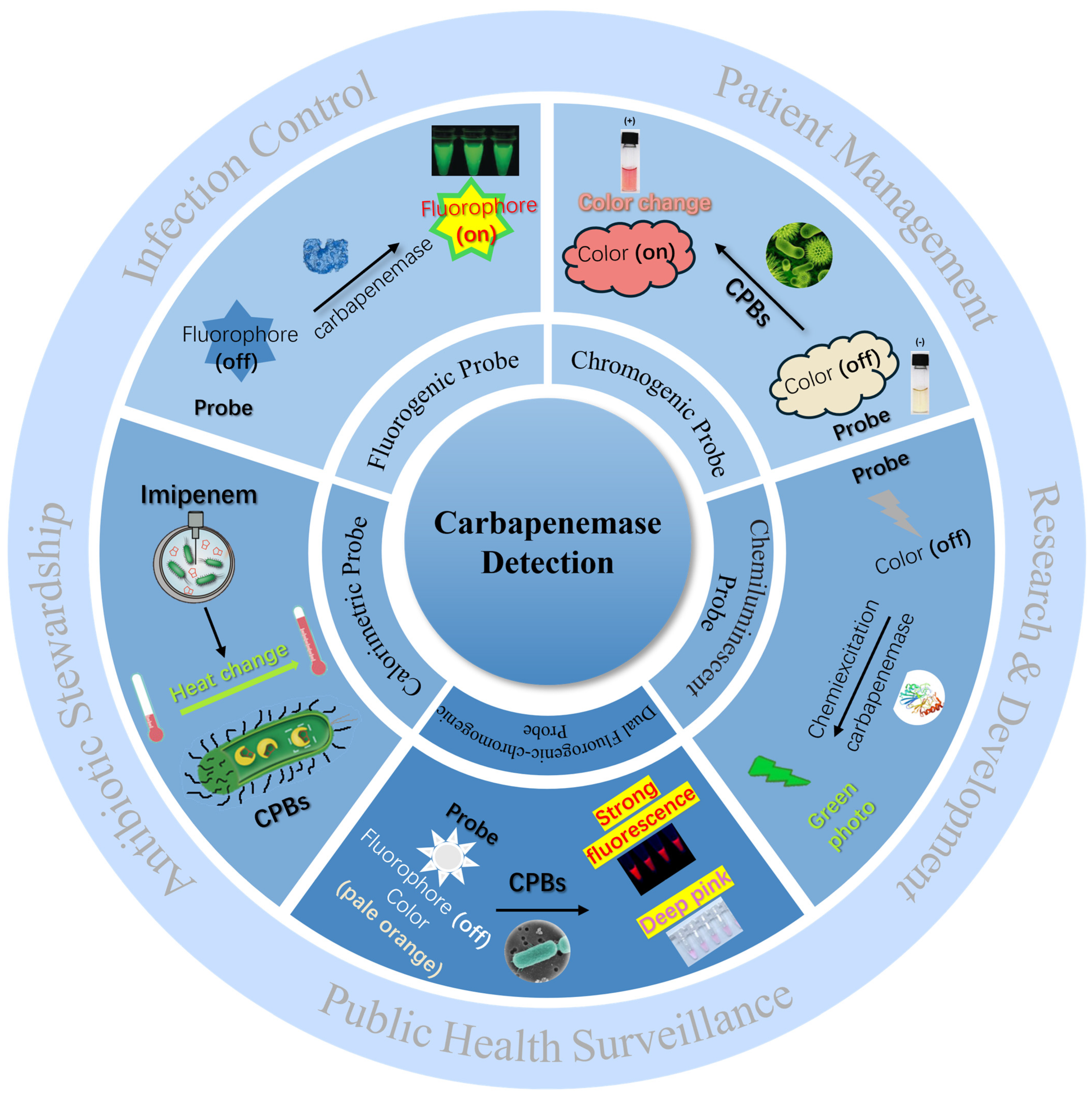 Pharmaceutics 17 00282 g001