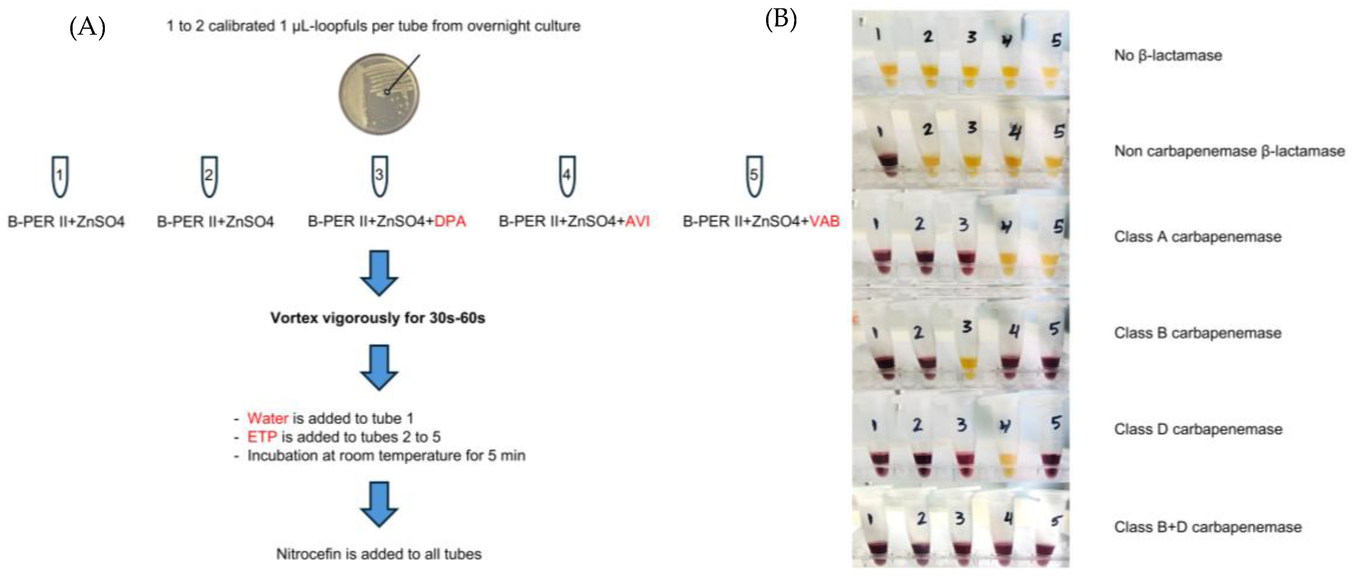 Pharmaceutics 17 00282 g002