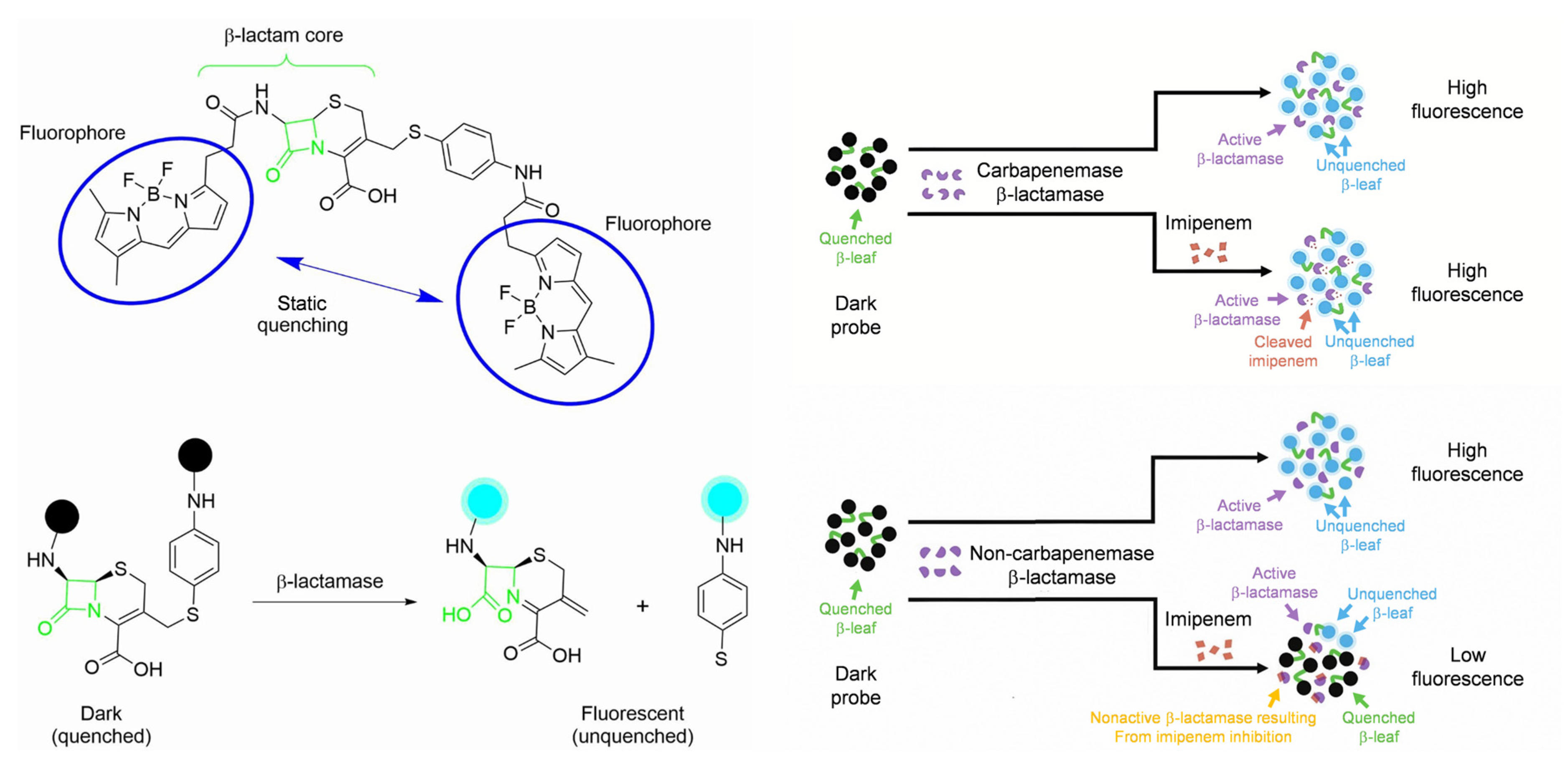 Pharmaceutics 17 00282 g006