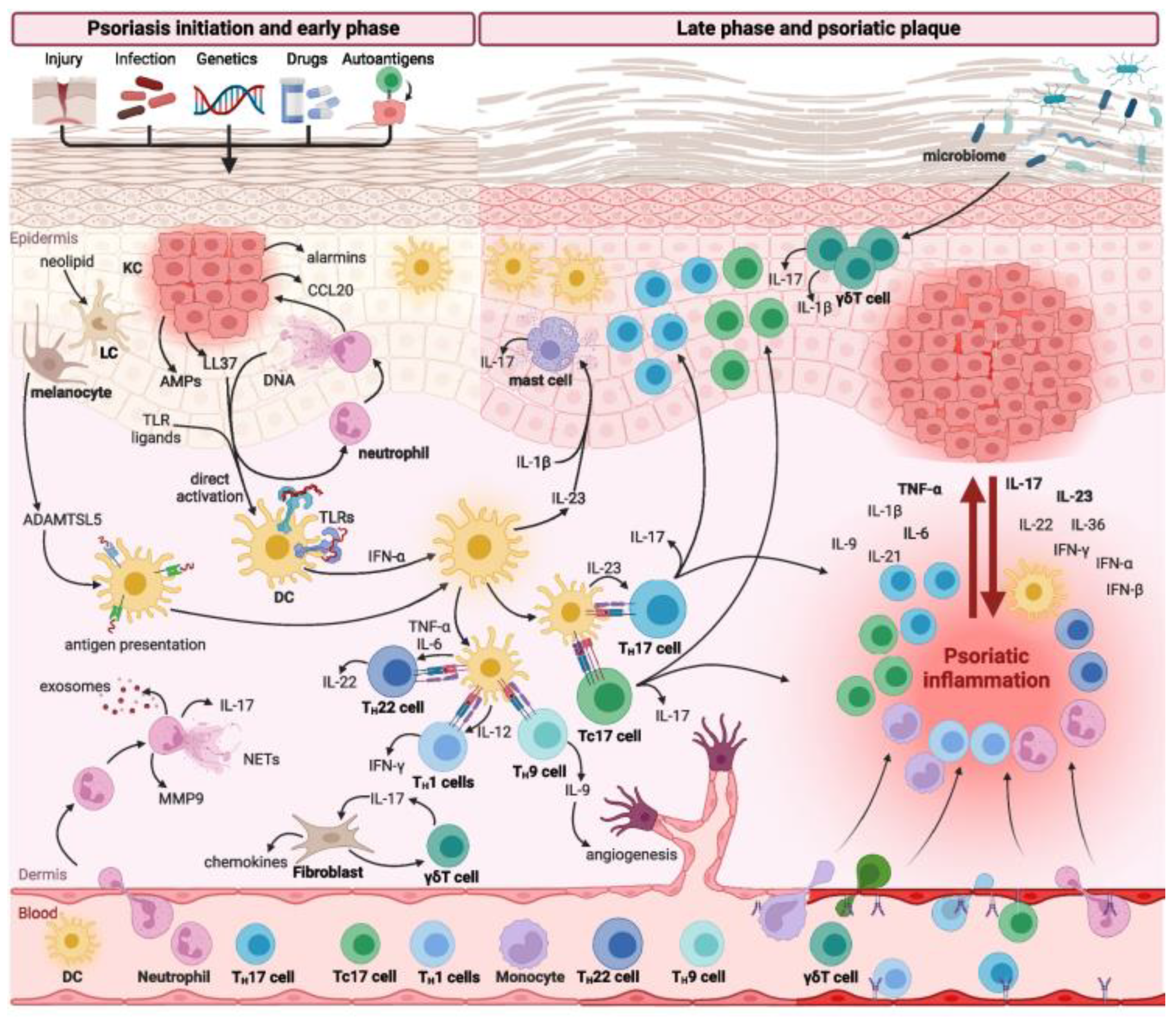 Pharmaceutics 17 00283 g001