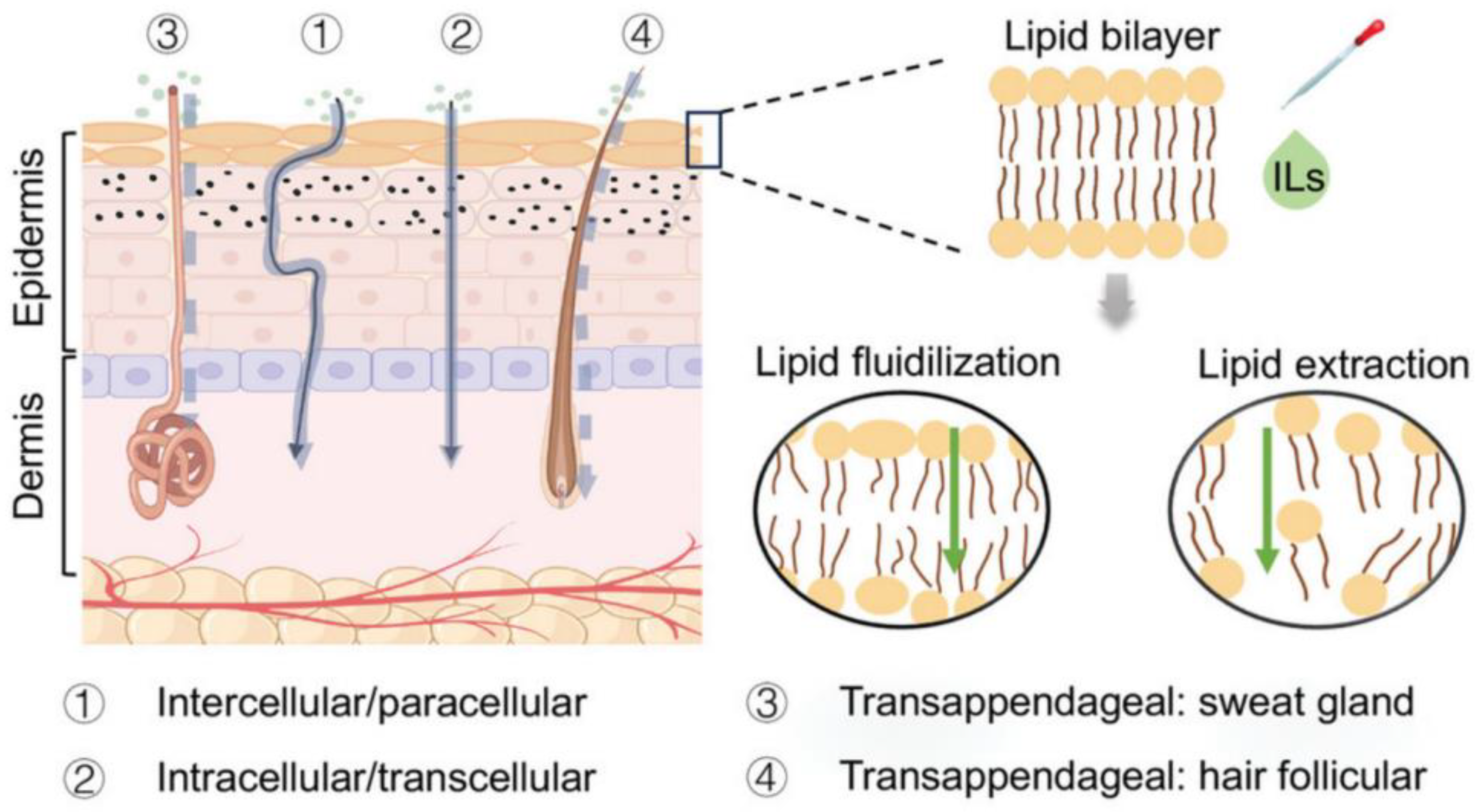 Pharmaceutics 17 00283 g004