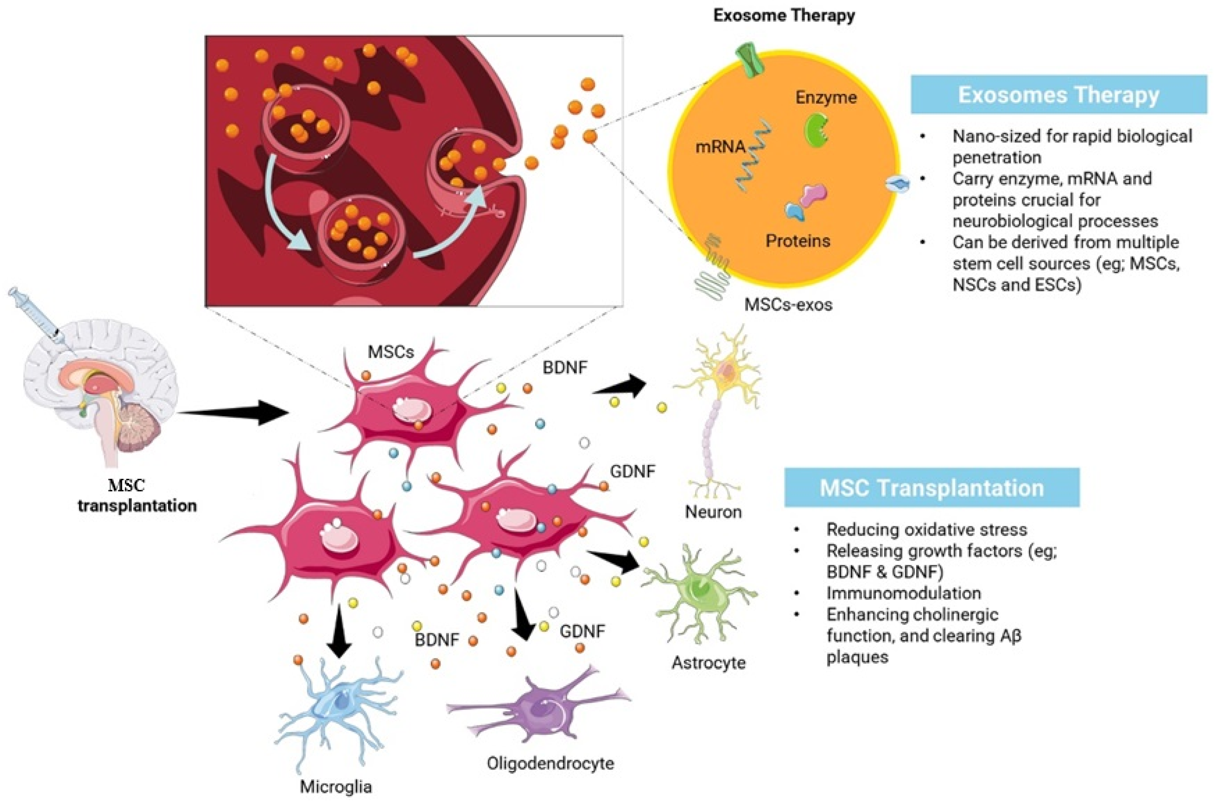 Pharmaceutics 17 00284 g001