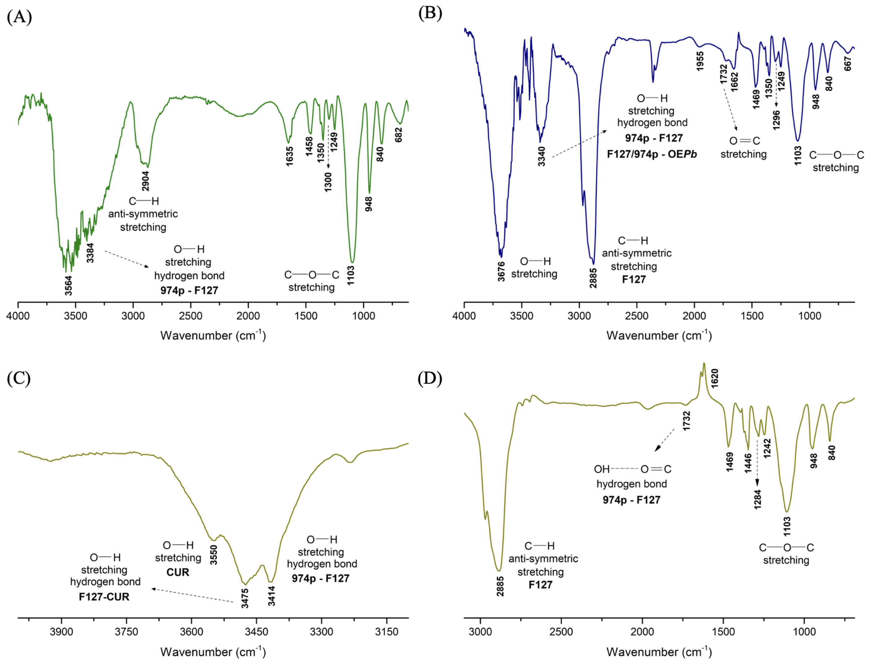Pharmaceutics 17 00286 g002