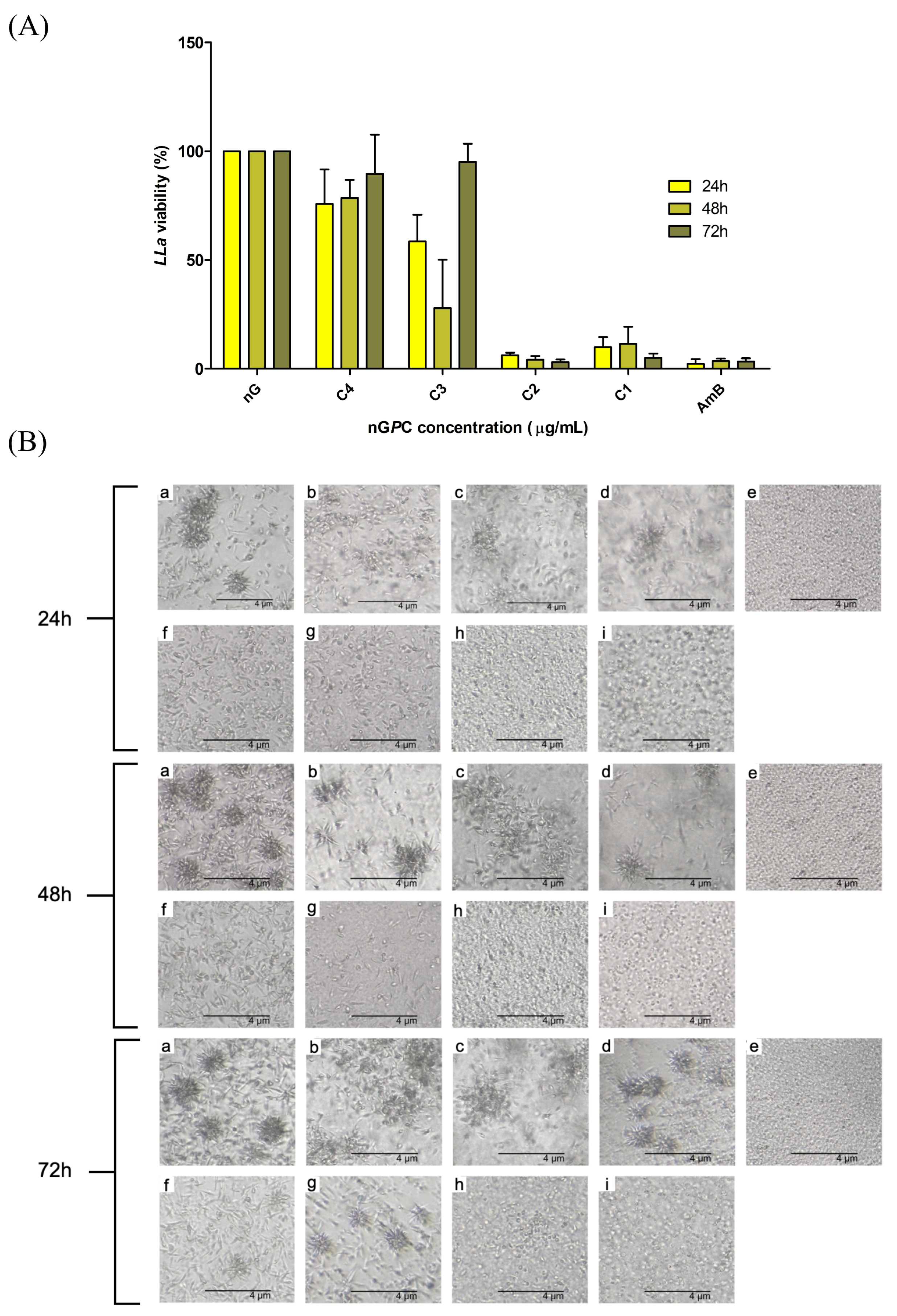 Pharmaceutics 17 00286 g007