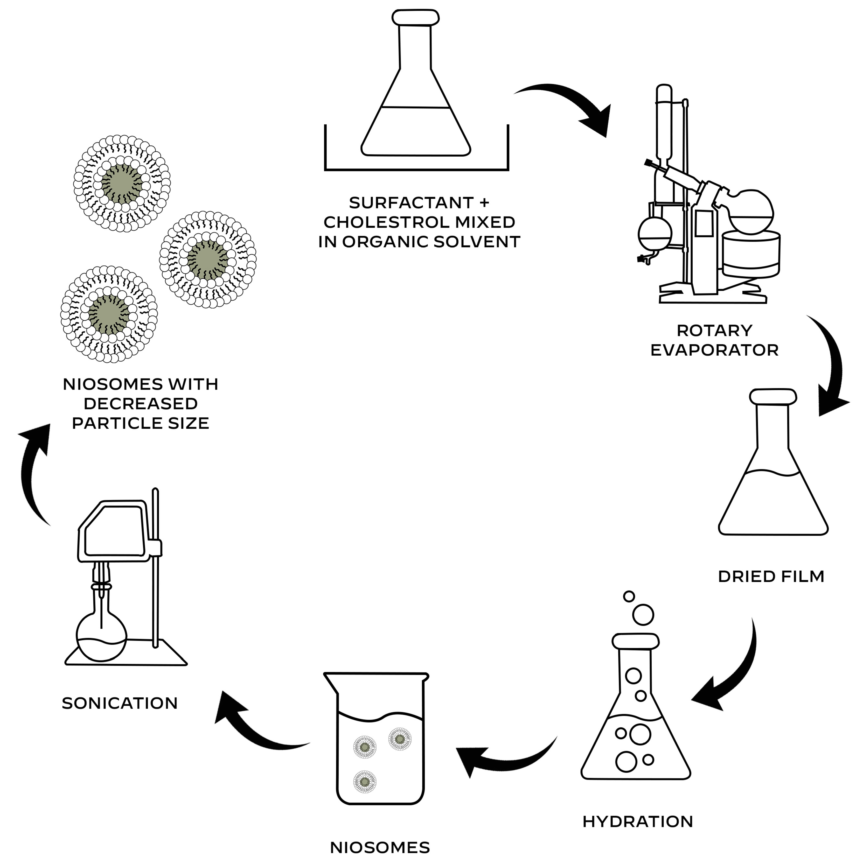 Pharmaceutics 17 00287 g002