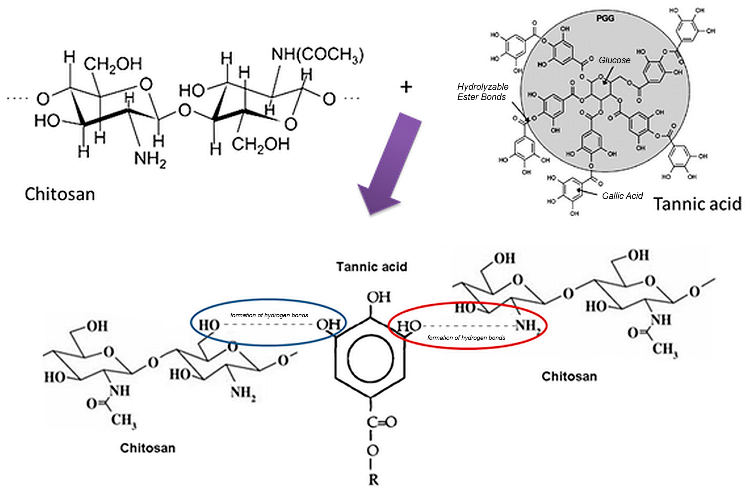 Pharmaceutics 17 00294 g001