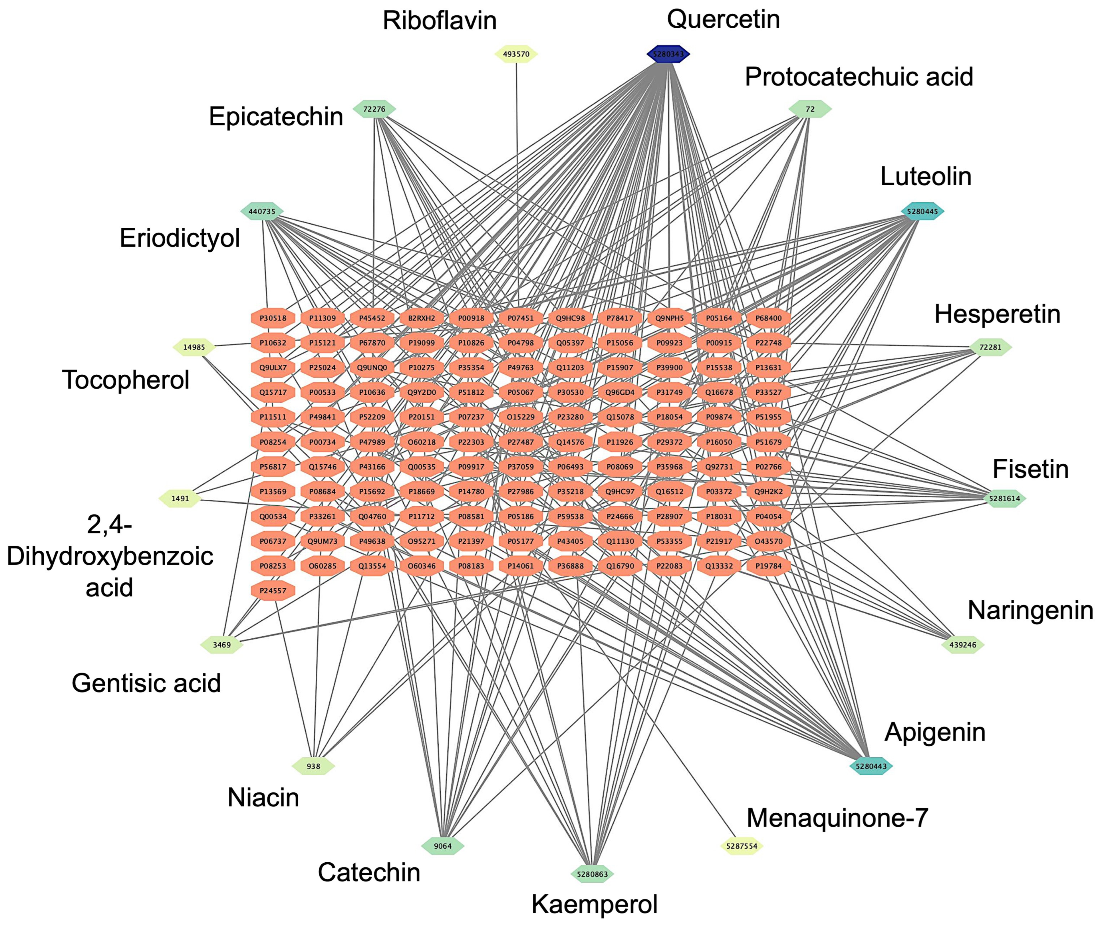 Pharmaceutics 17 00295 g001 Pharmaceutics 17 00295 g001