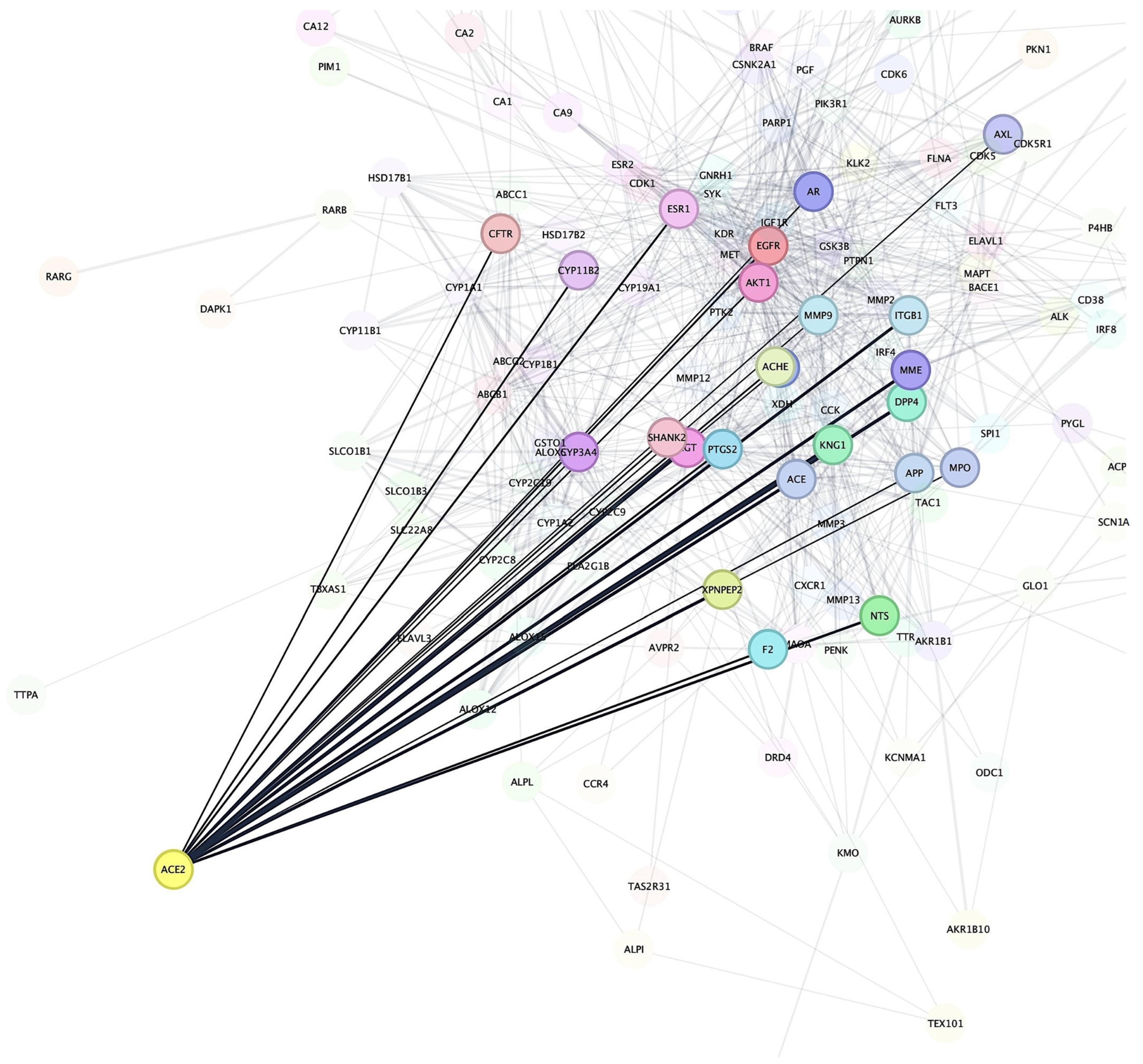 Pharmaceutics 17 00295 g002 Pharmaceutics 17 00295 g002