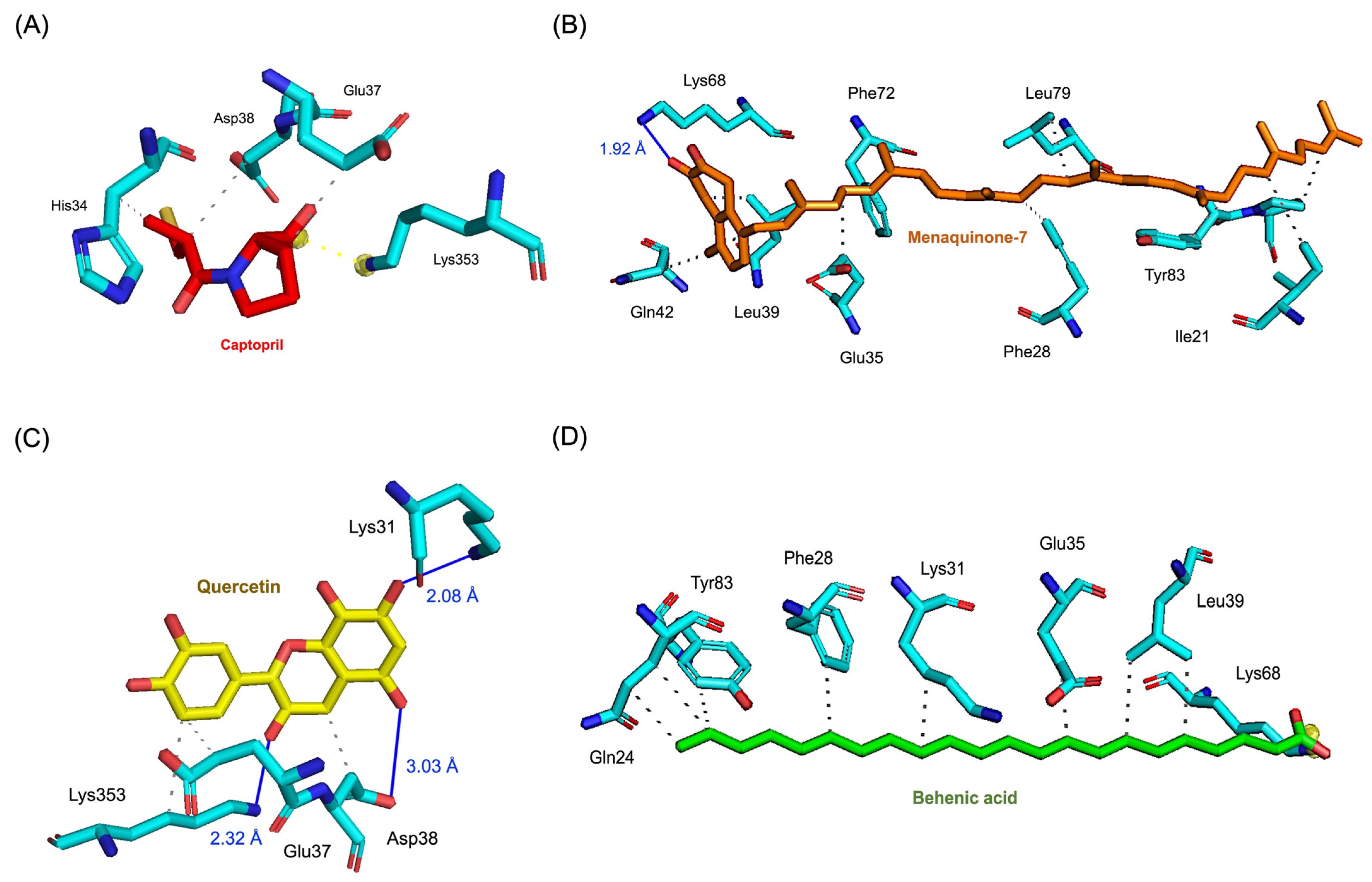 Pharmaceutics 17 00295 g003 Pharmaceutics 17 00295 g003