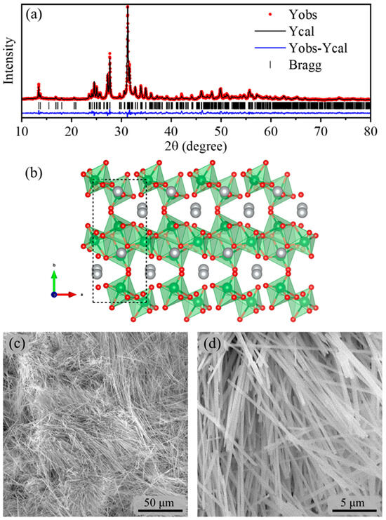 Silver Dimolybdate Nanorods: In Vitro Anticancer Activity