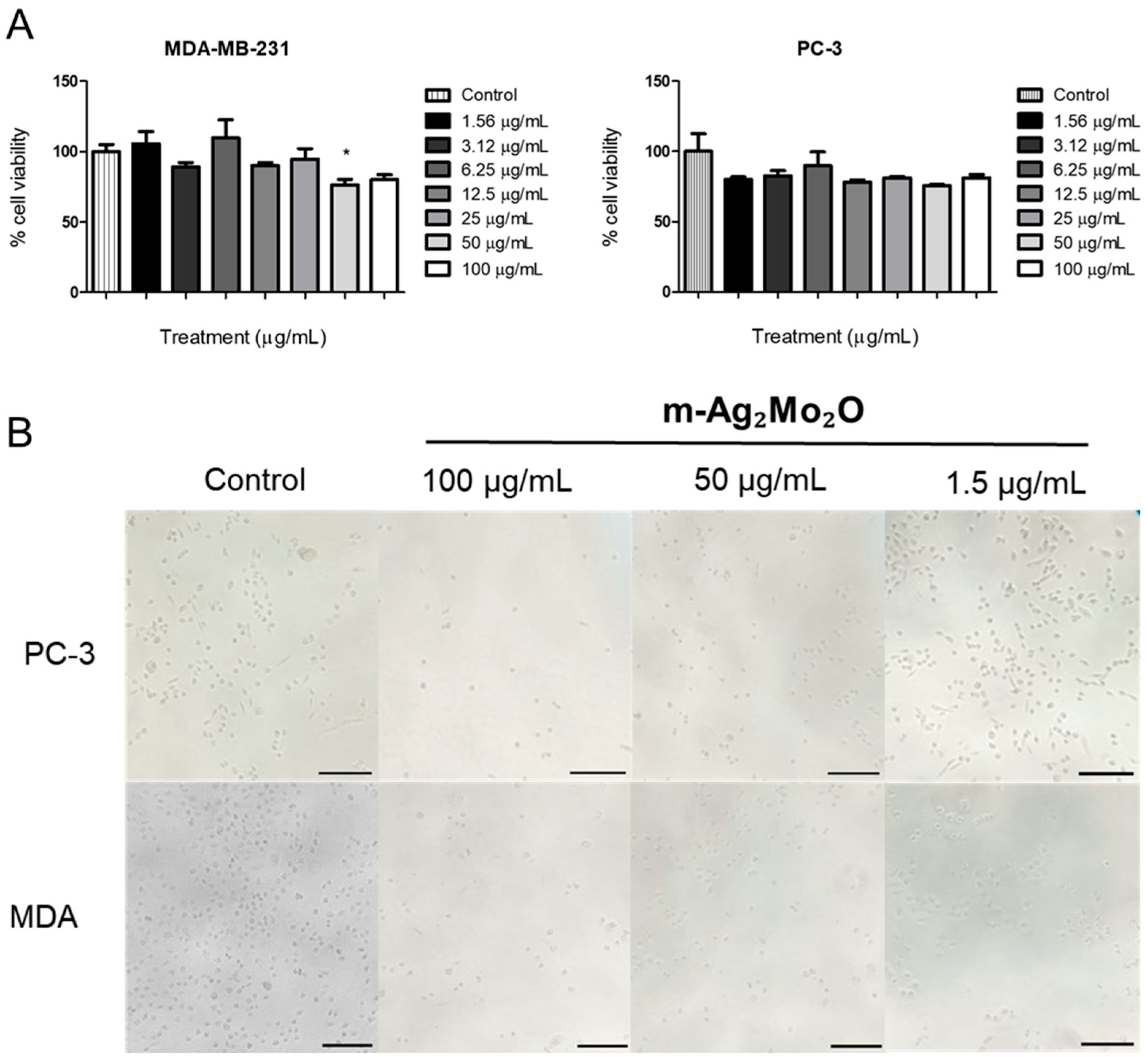 Silver Dimolybdate Nanorods: In Vitro Anticancer Activity