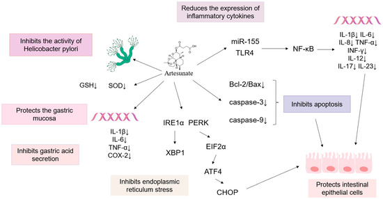Artesunate: A Review of Its Potential Therapeutic Effects