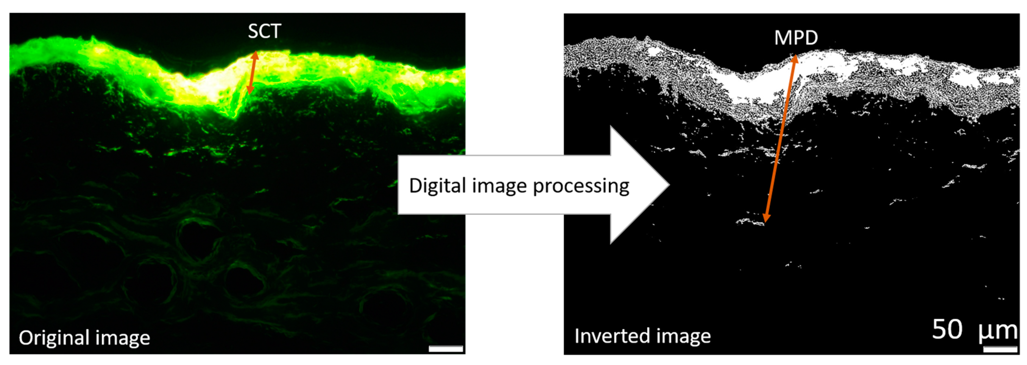 Pharmaceutics 17 00301 g002