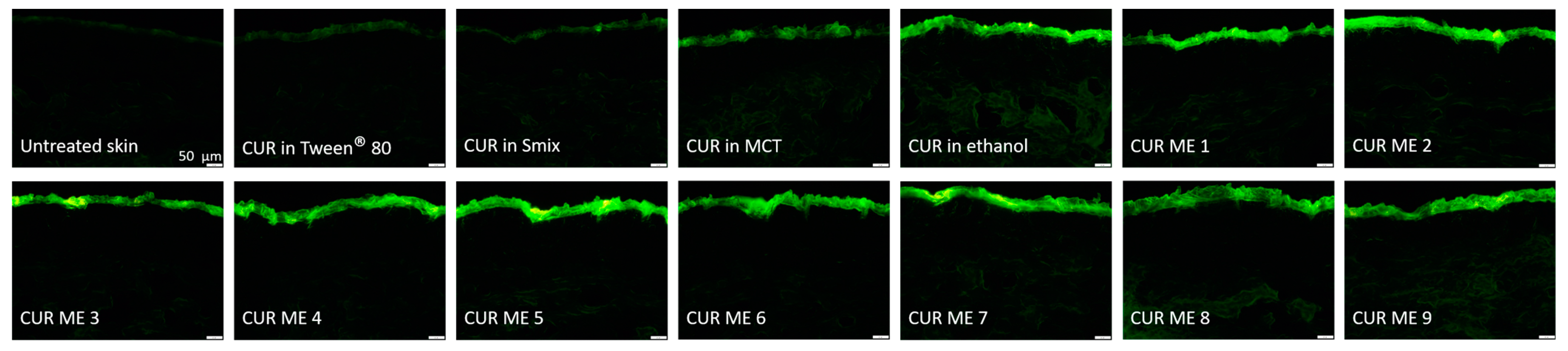 Pharmaceutics 17 00301 g005