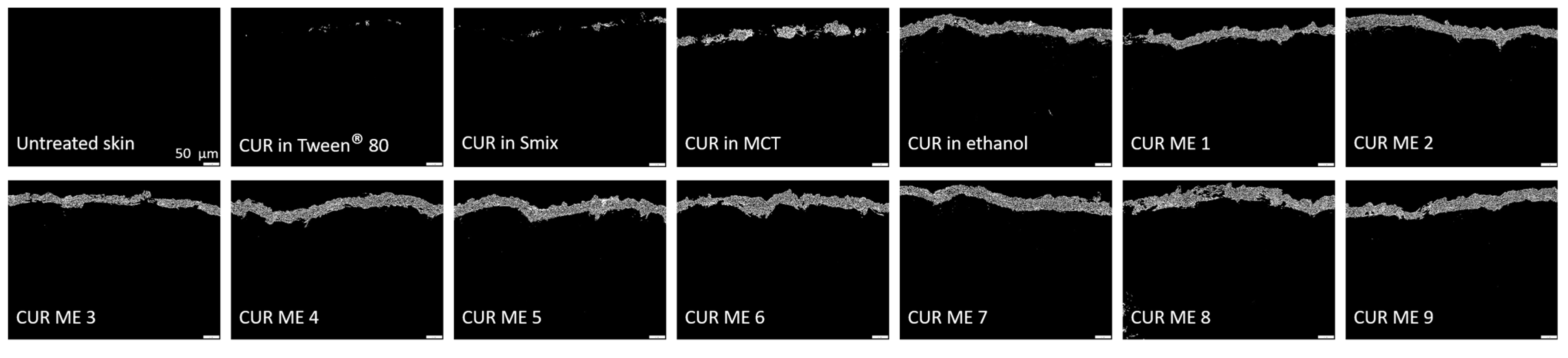 Pharmaceutics 17 00301 g006