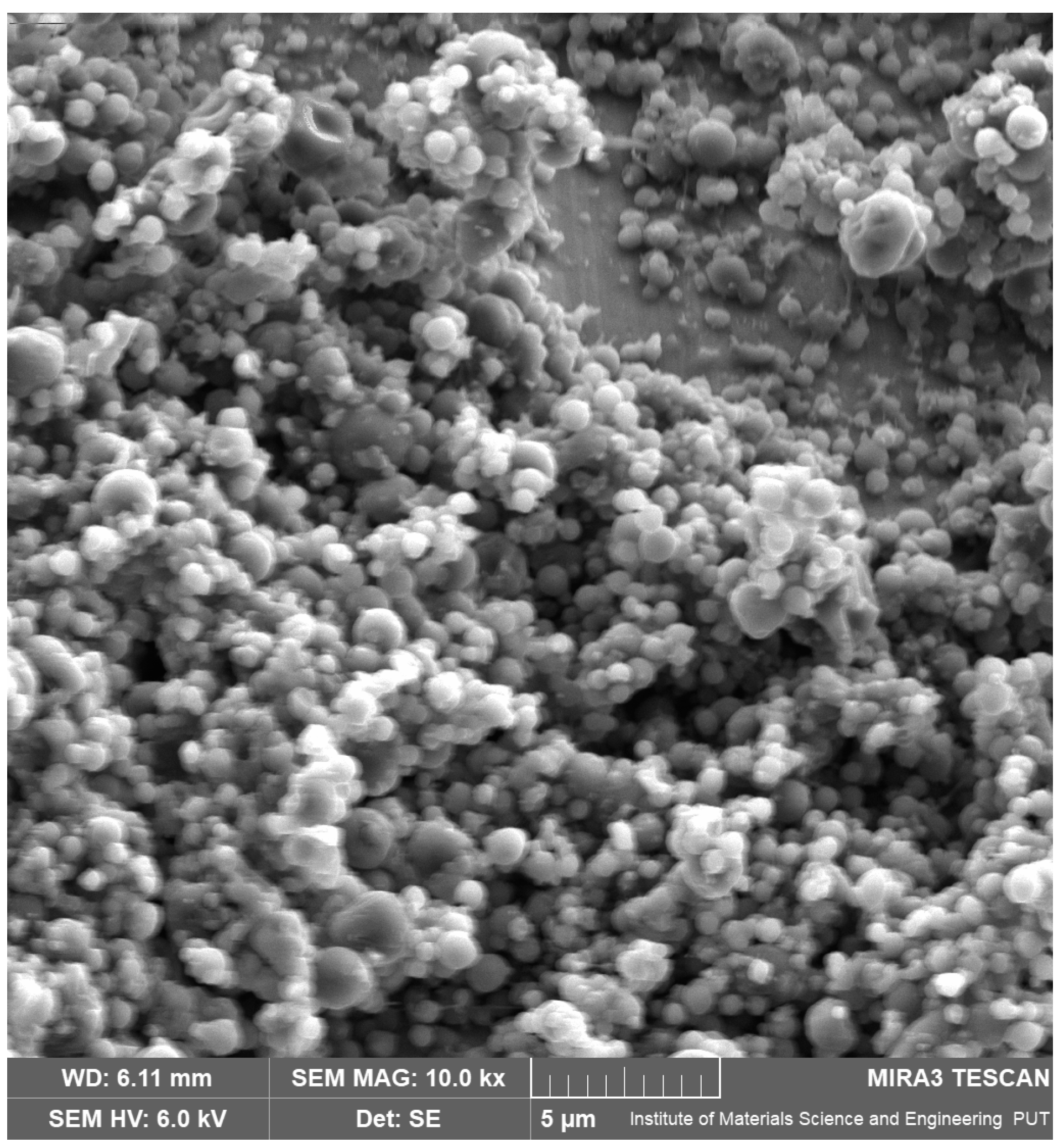 Pharmaceutics 17 00304 g001