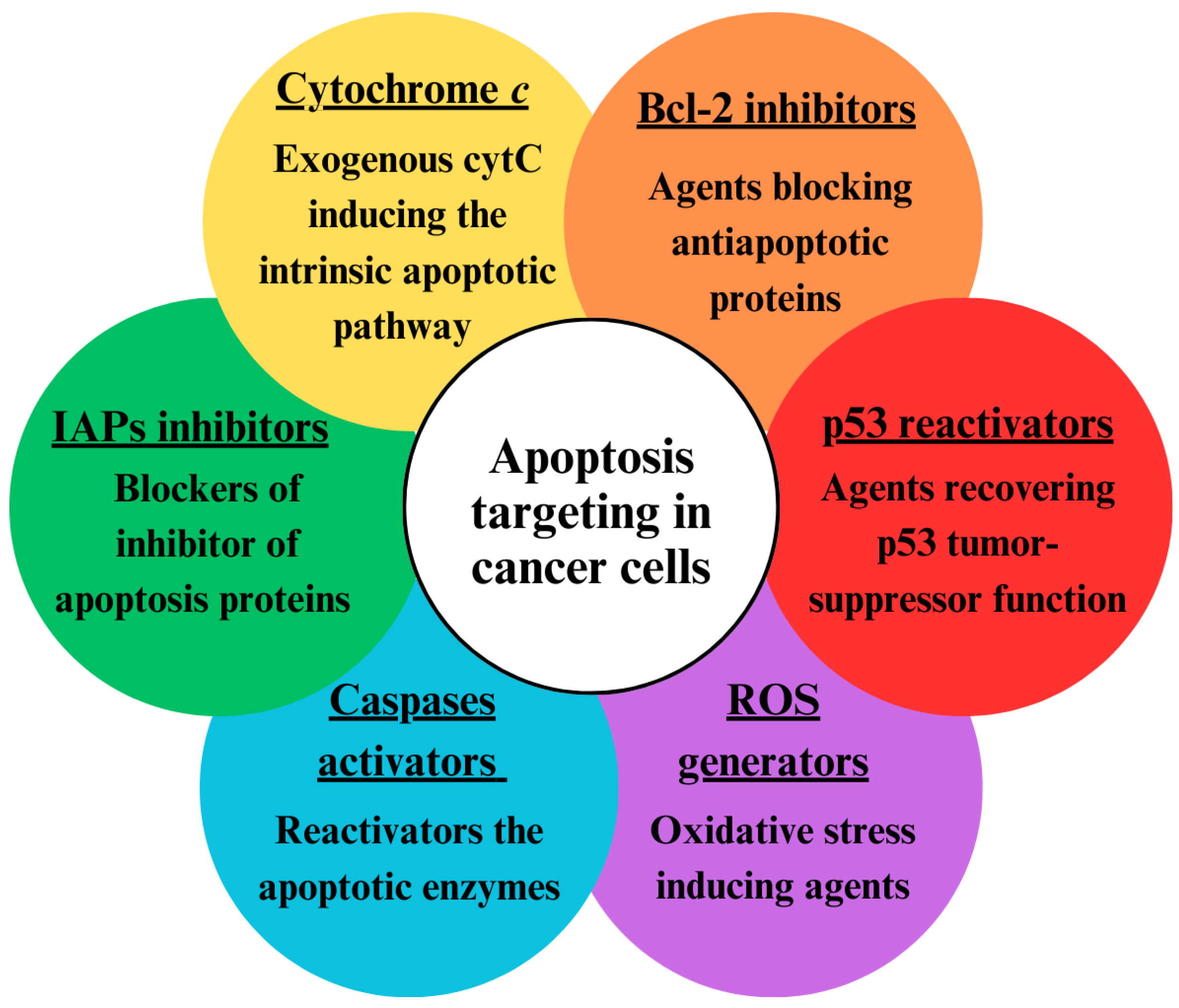 Pharmaceutics 17 00305 g002