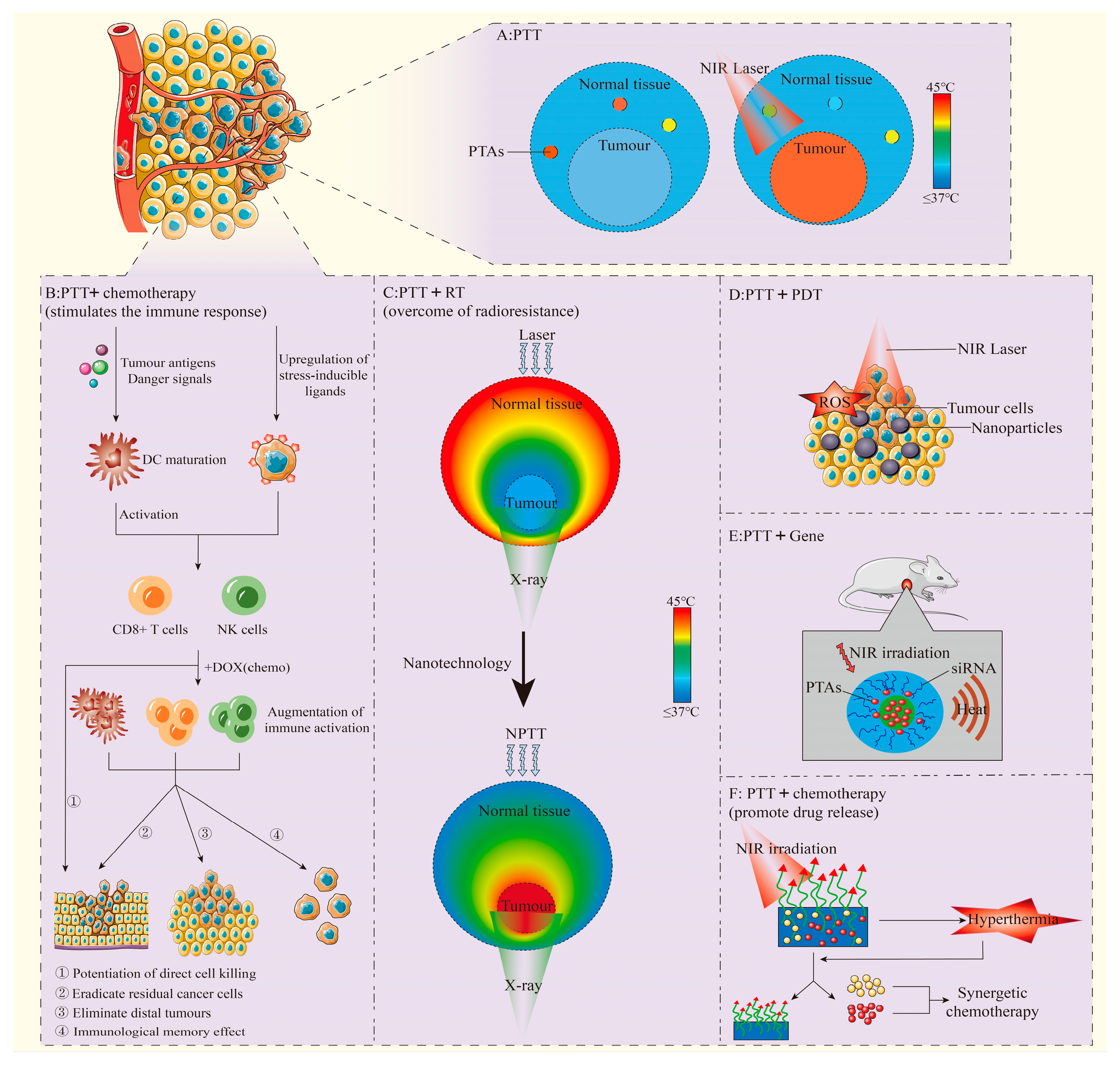 Pharmaceutics 17 00306 g001