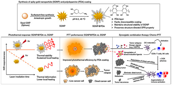 Anti-Tumor Strategies of Photothermal Therapy Combined with Other ...