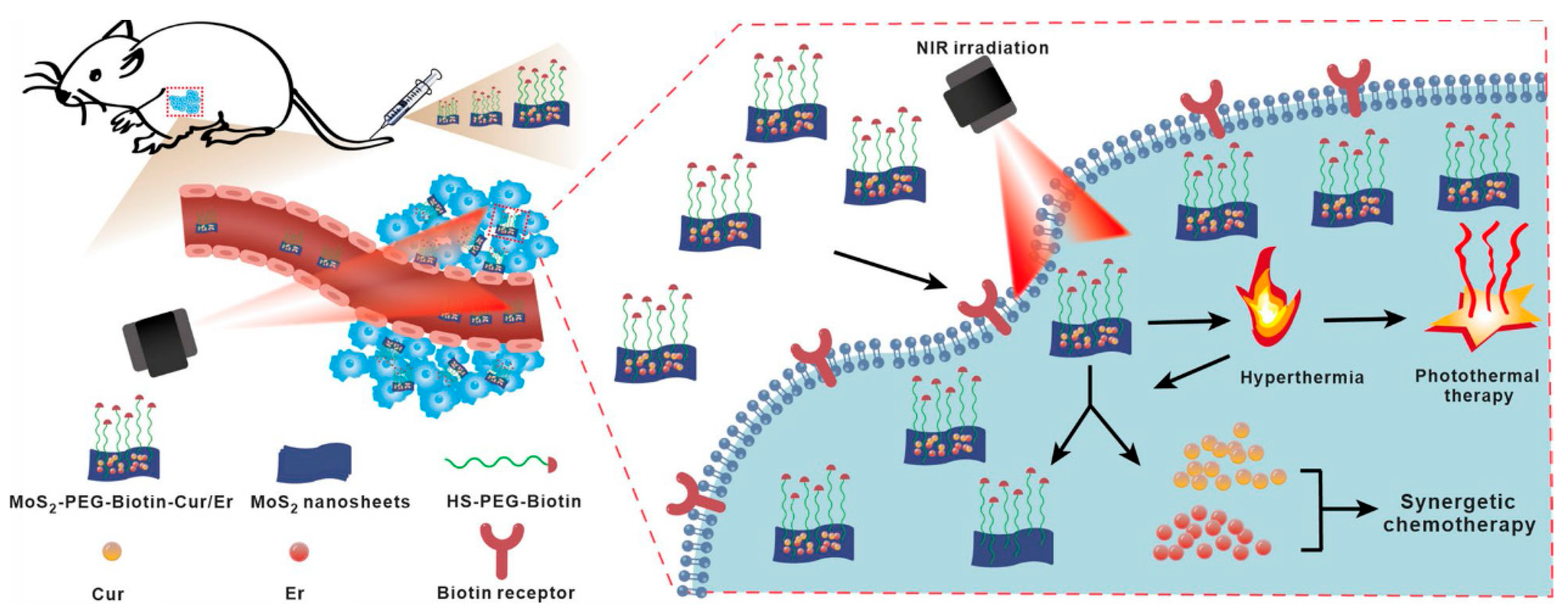 Pharmaceutics 17 00306 g005