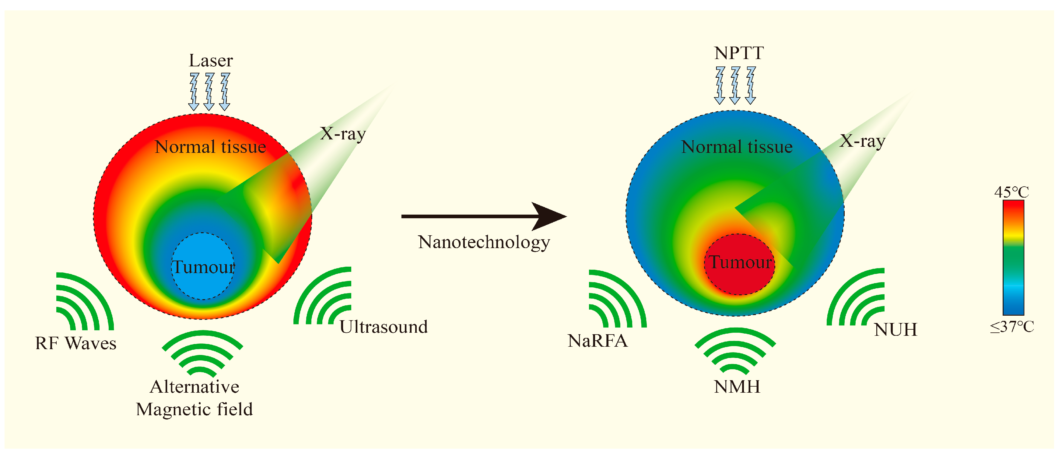Pharmaceutics 17 00306 g006