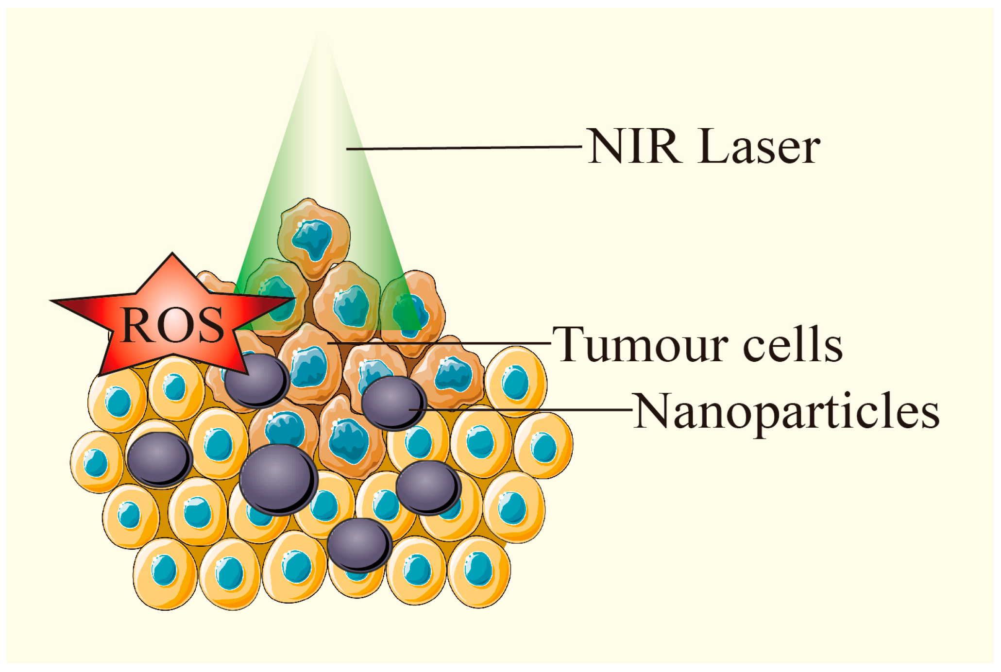 Pharmaceutics 17 00306 g007