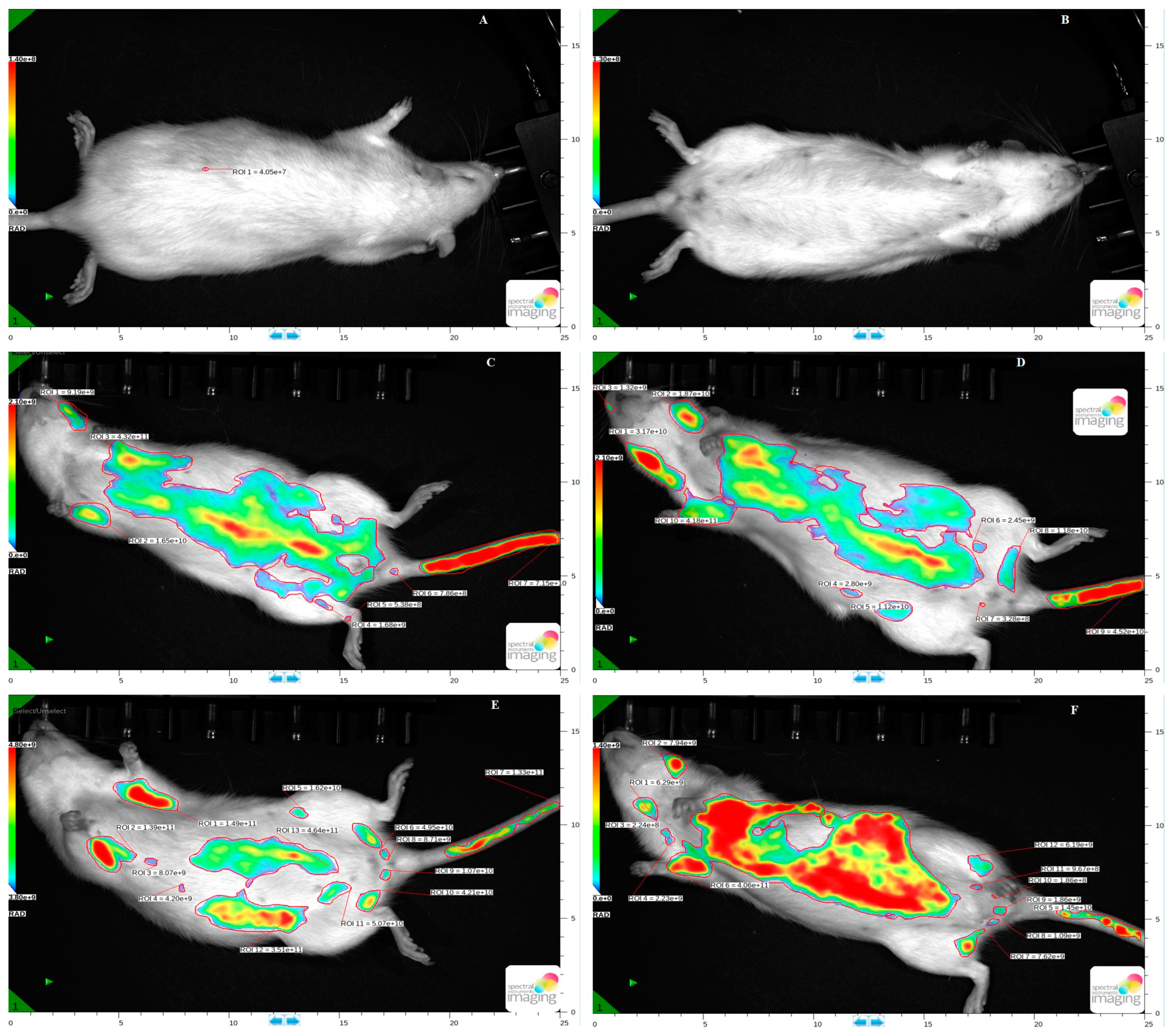 Pharmaceutics 17 00307 g006
