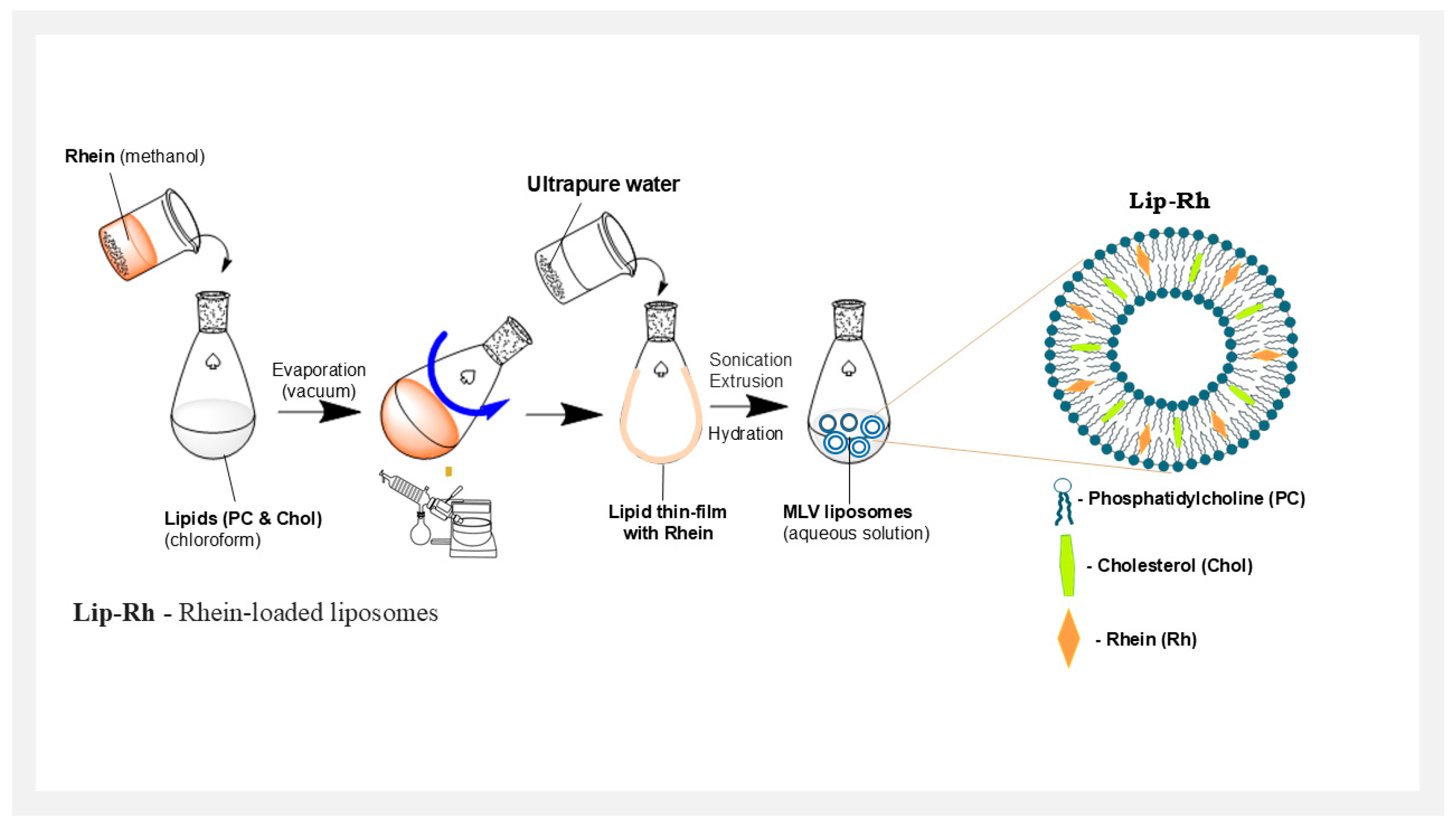 Pharmaceutics 17 00307 sch001