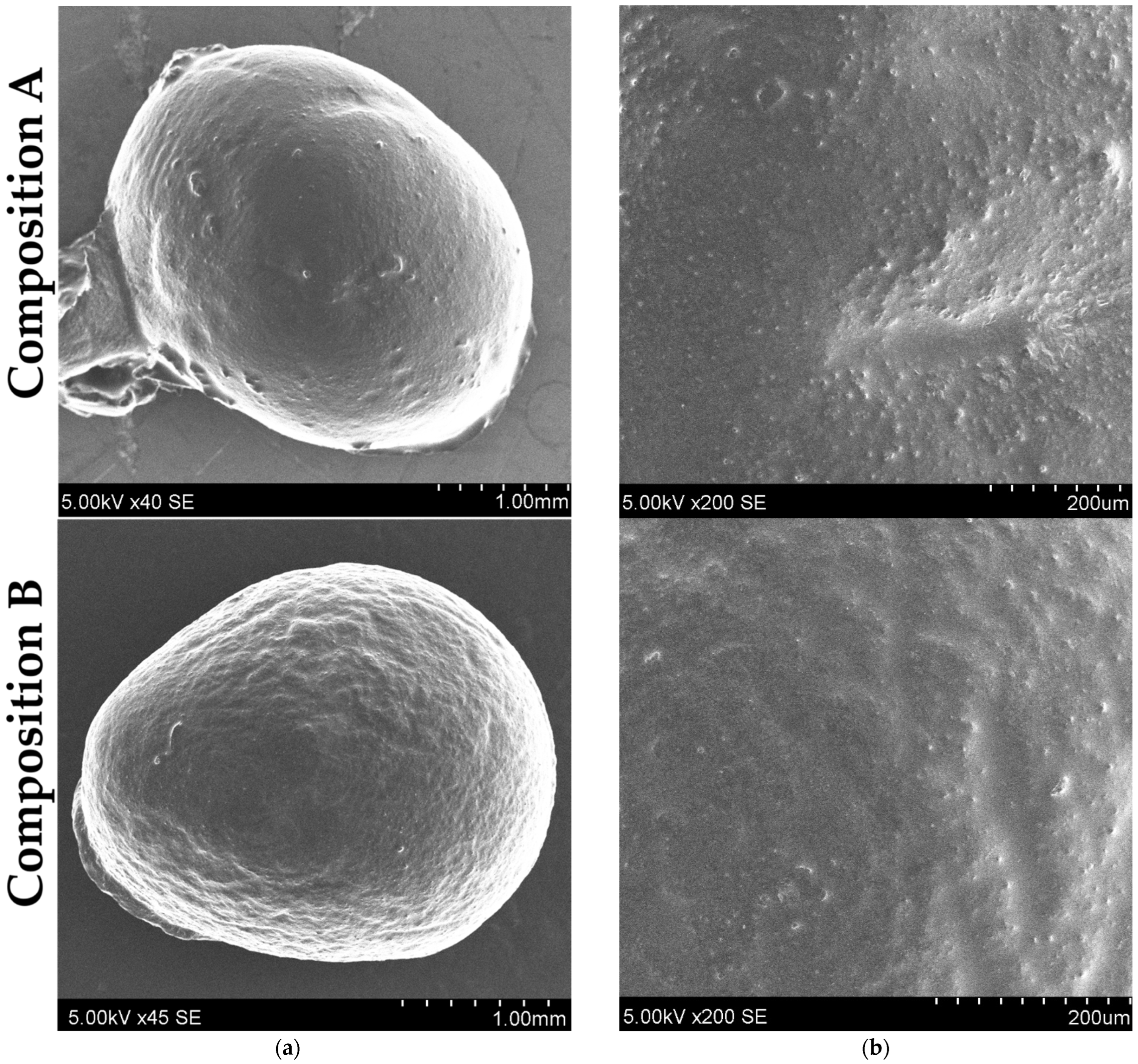 Pharmaceutics 17 00309 g013