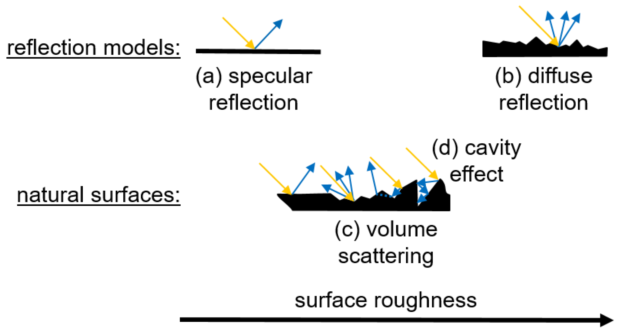 Pharmaceutics 17 00311 g002