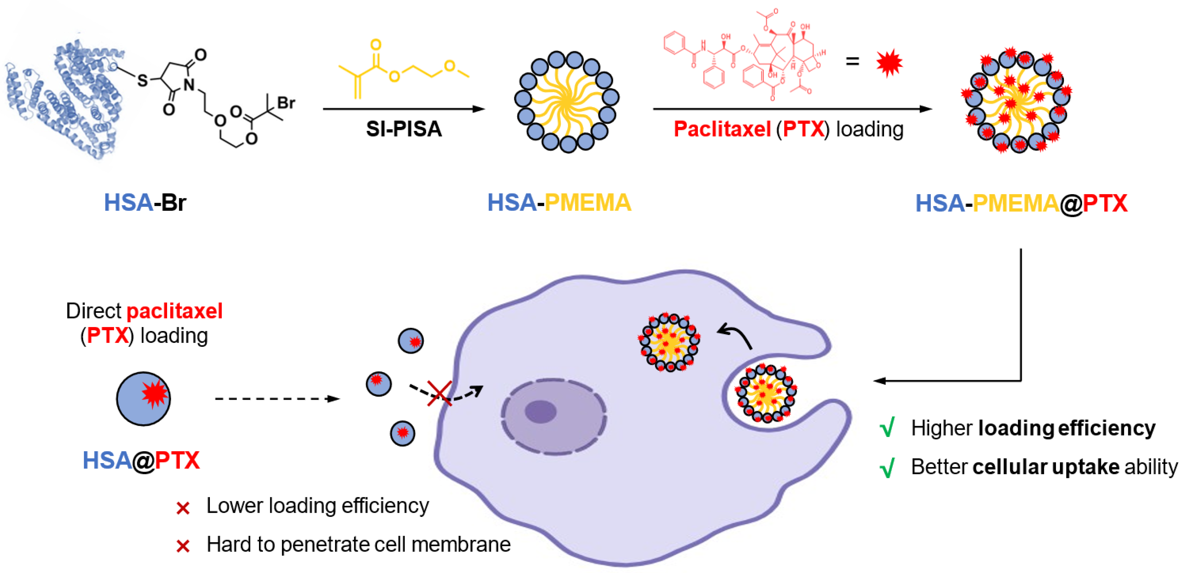 Pharmaceutics 17 00316 g001
