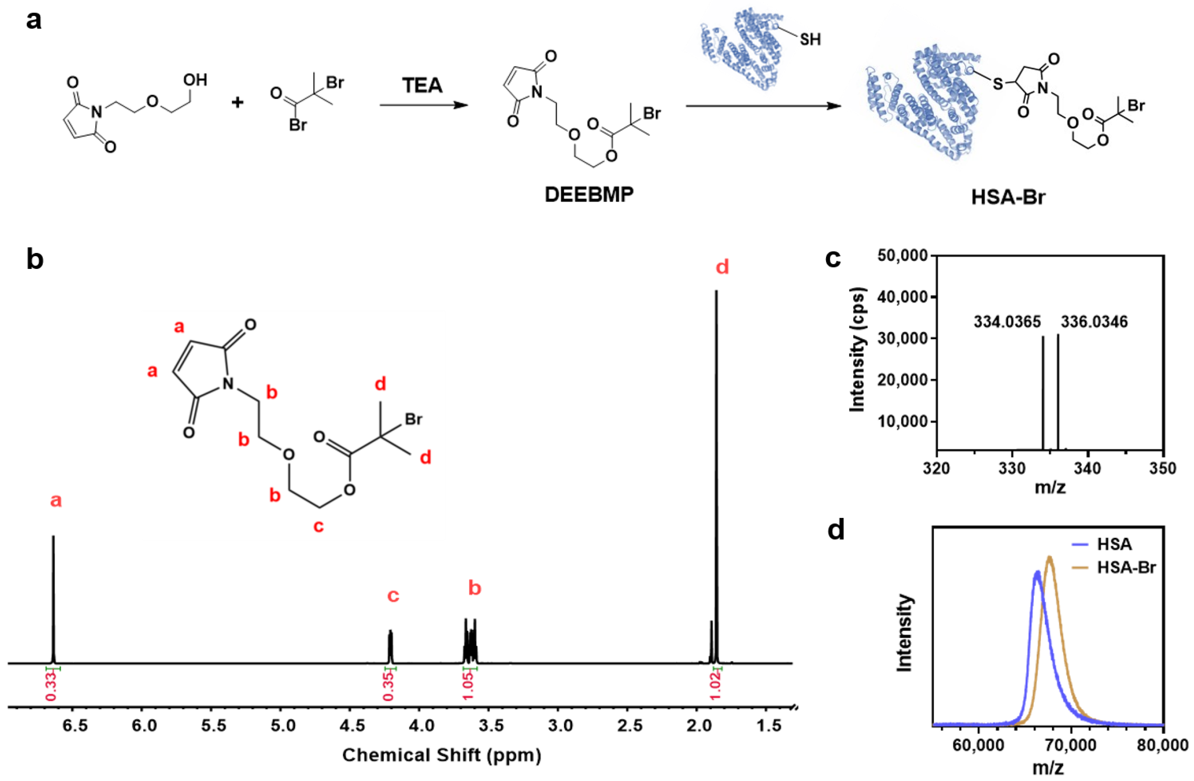 Pharmaceutics 17 00316 g002