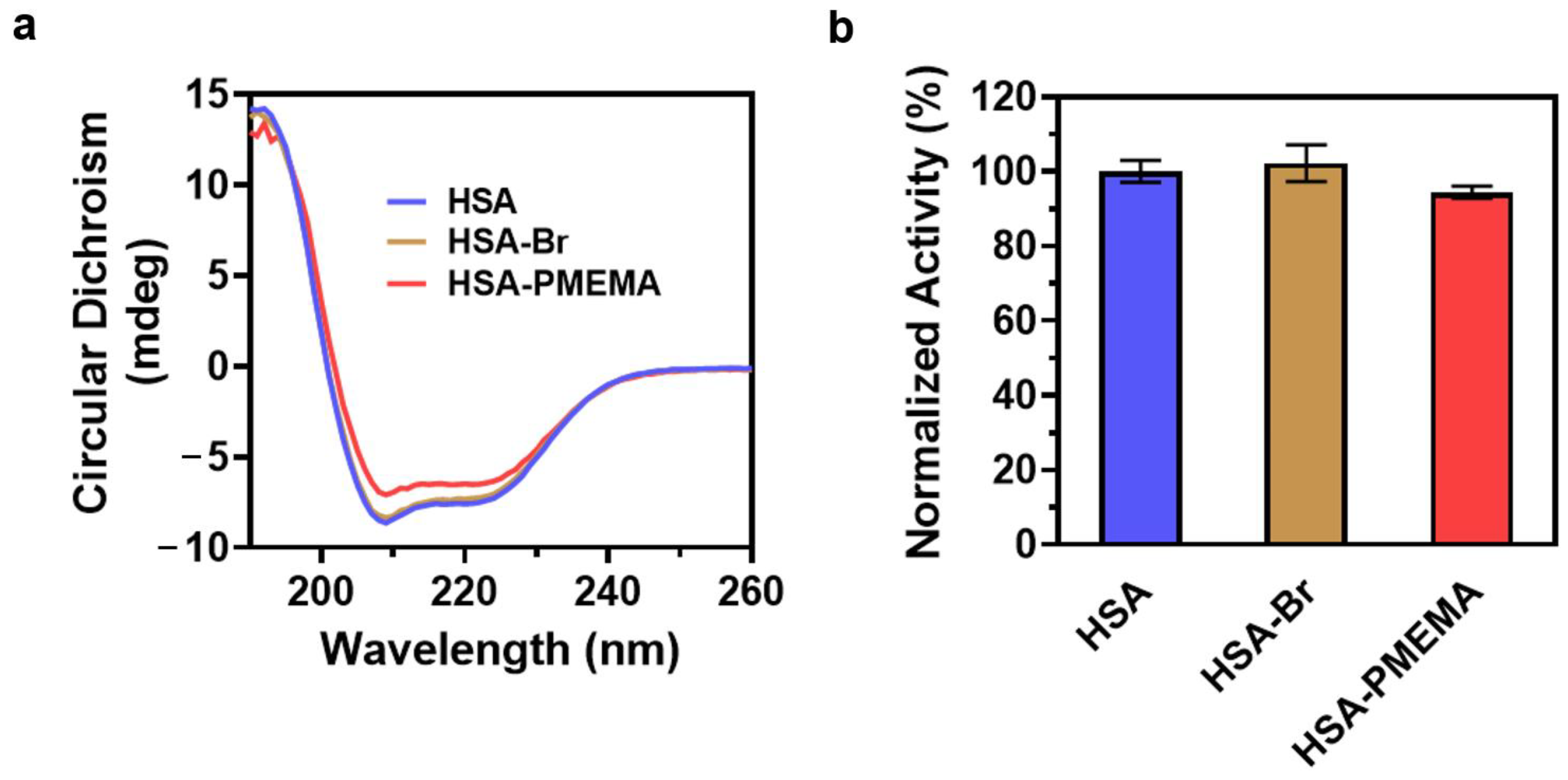 Pharmaceutics 17 00316 g005